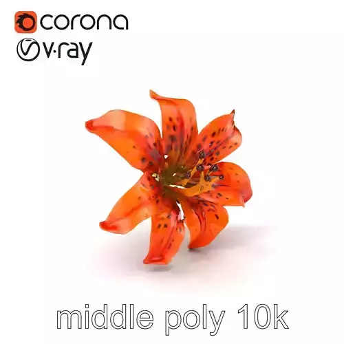 Leopard Lily Orange Realistic Flower model pack