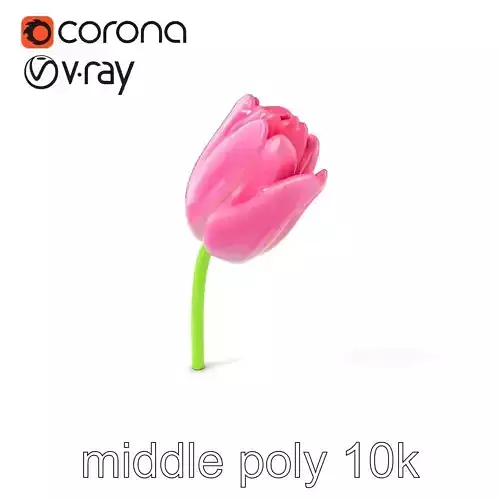 Pink Tulip Light Gradient Petals model pack Low-poly 3D model