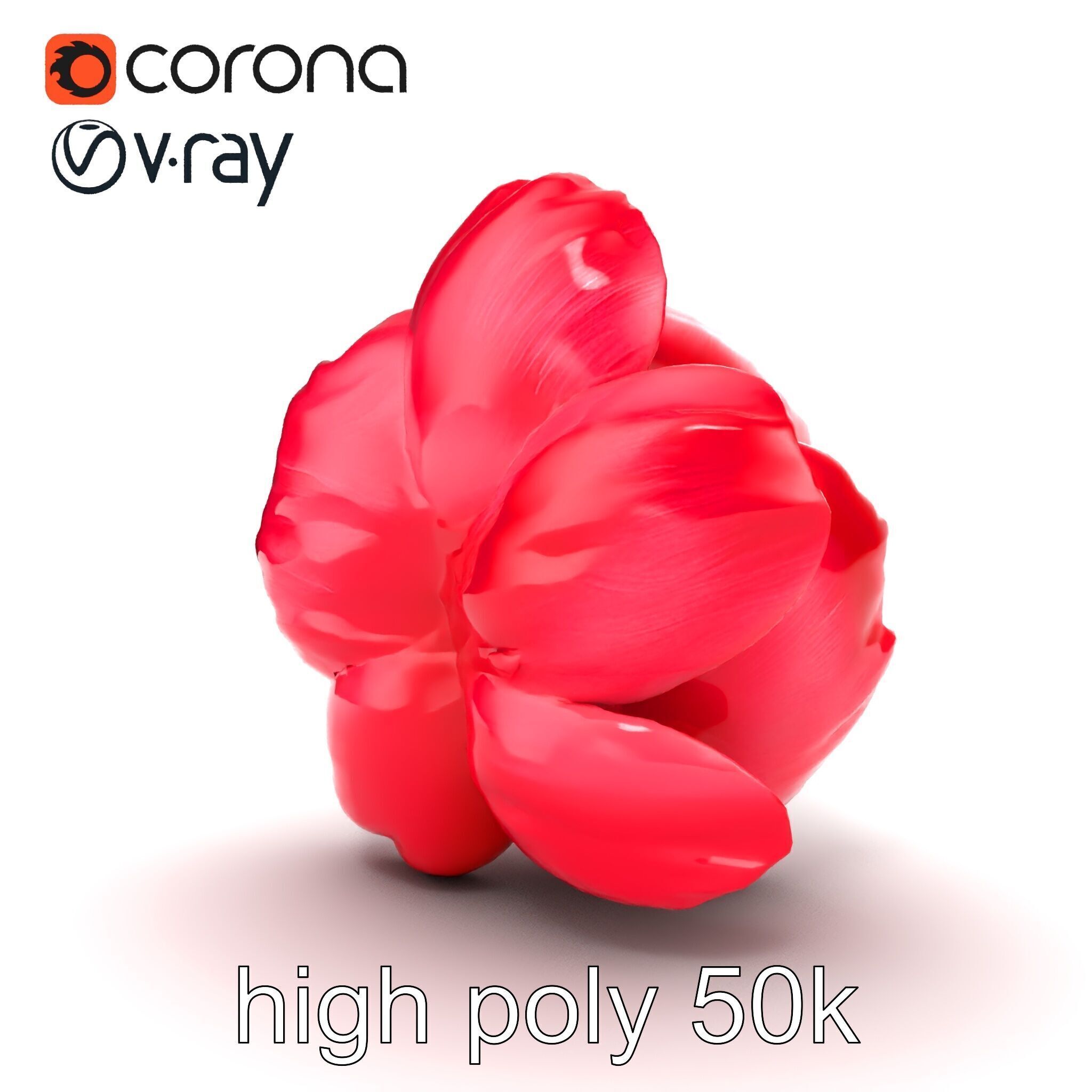 Red Peony Flower 3D Model Pack with Vivid Textures Low-poly 3D model_30