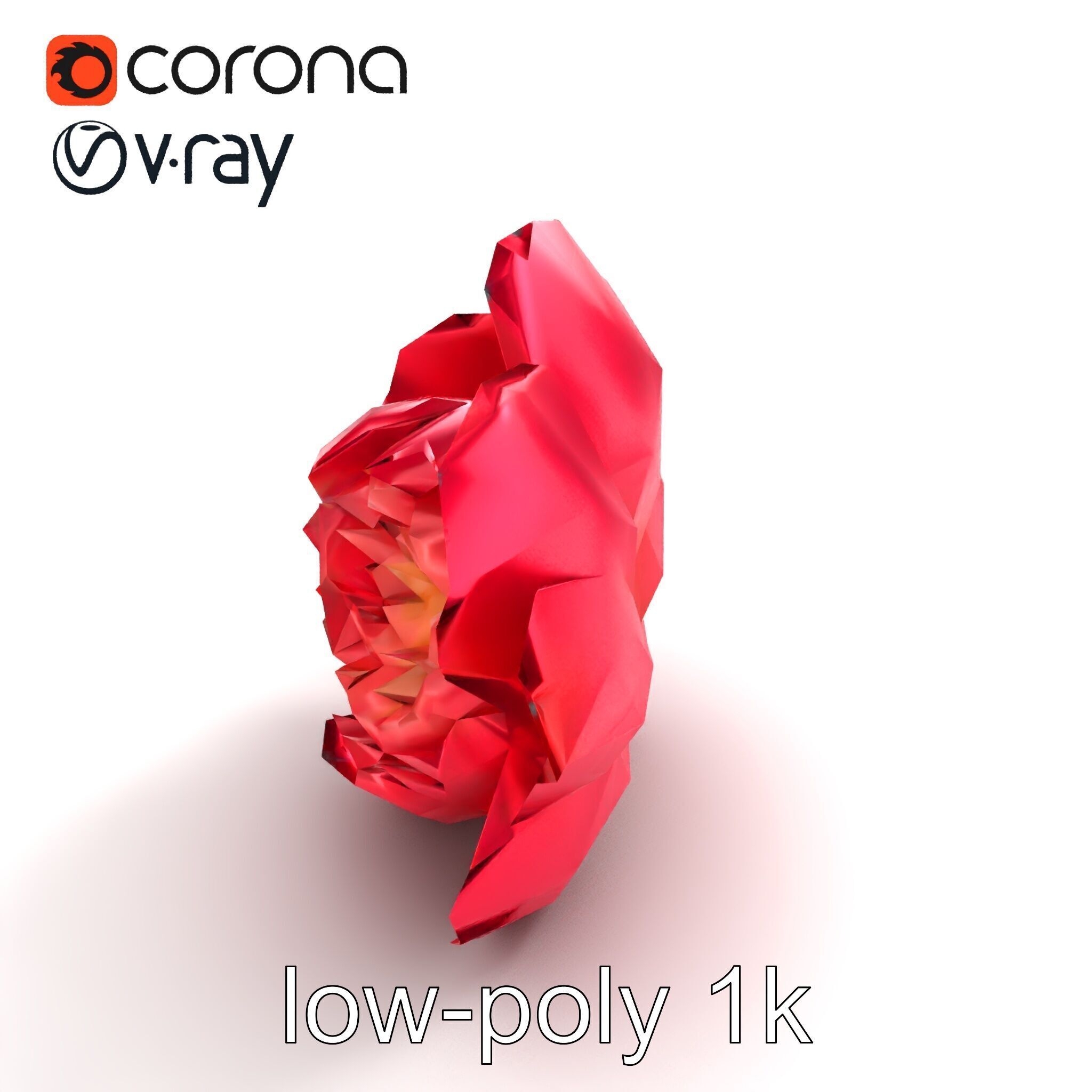 Red Peony Flower 3D Model Pack with Vivid Textures Low-poly 3D model_9