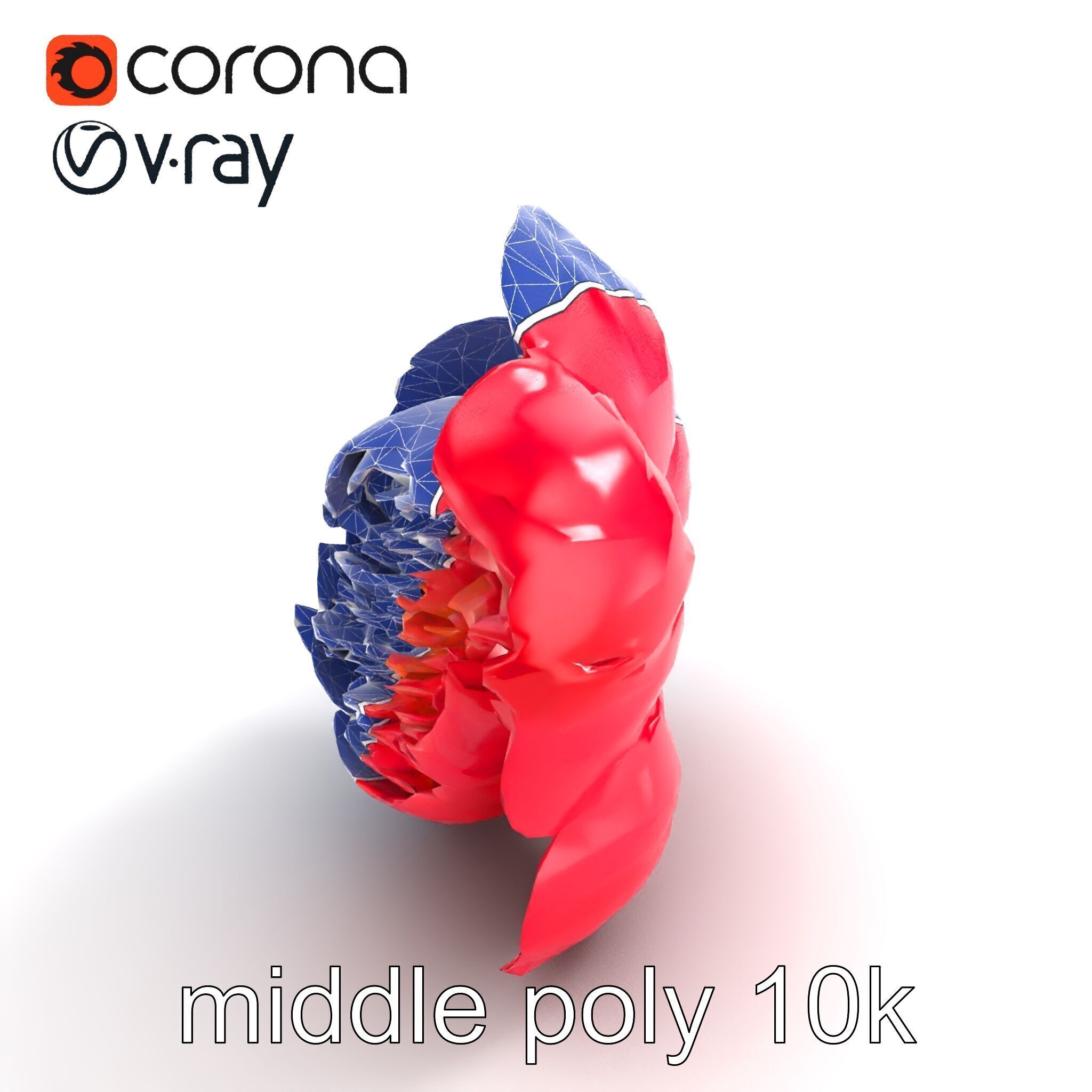 Red Peony Flower 3D Model Pack with Vivid Textures Low-poly 3D model_11