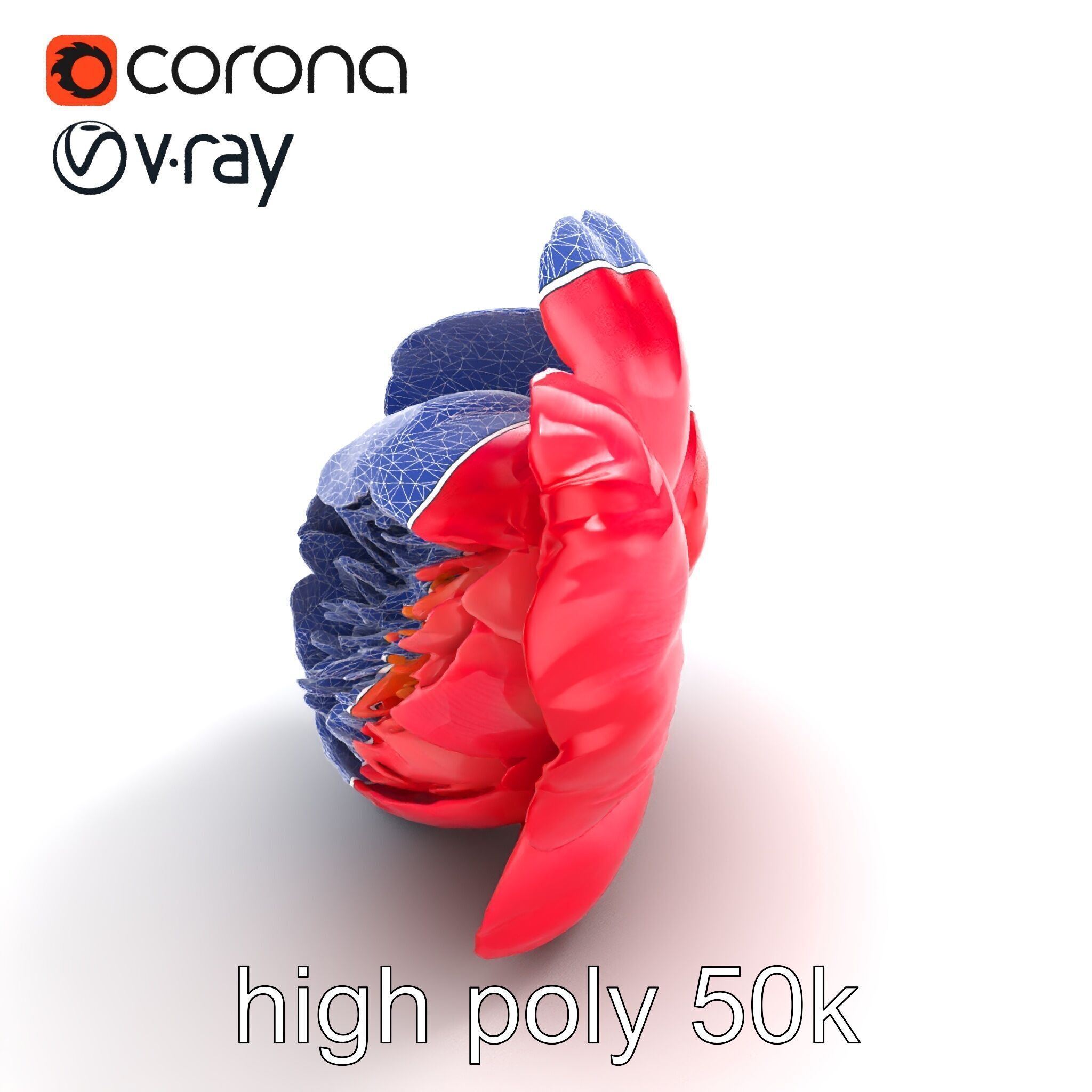 Red Peony Flower 3D Model Pack with Vivid Textures Low-poly 3D model_13