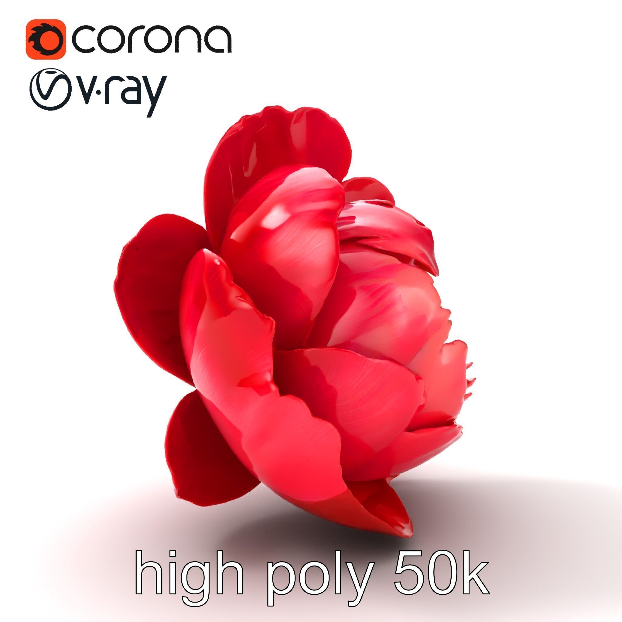 Red Peony Flower 3D Model Pack with Vivid Textures Low-poly 3D model_20