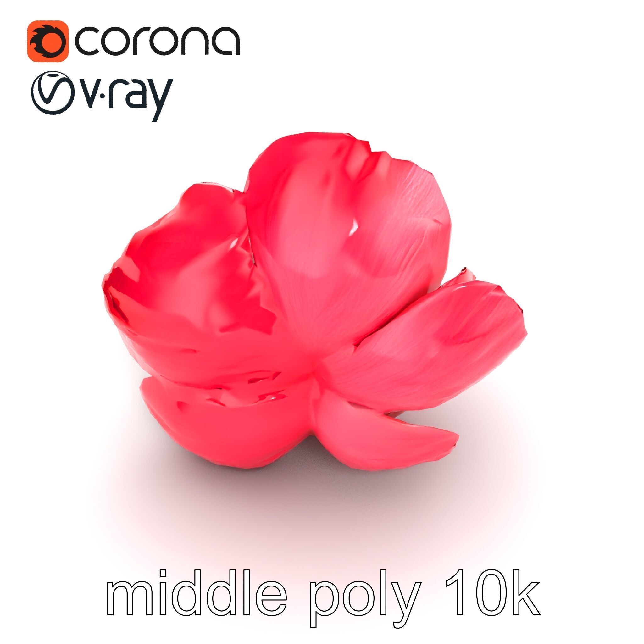 Red Peony Flower 3D Model Pack with Vivid Textures Low-poly 3D model_25
