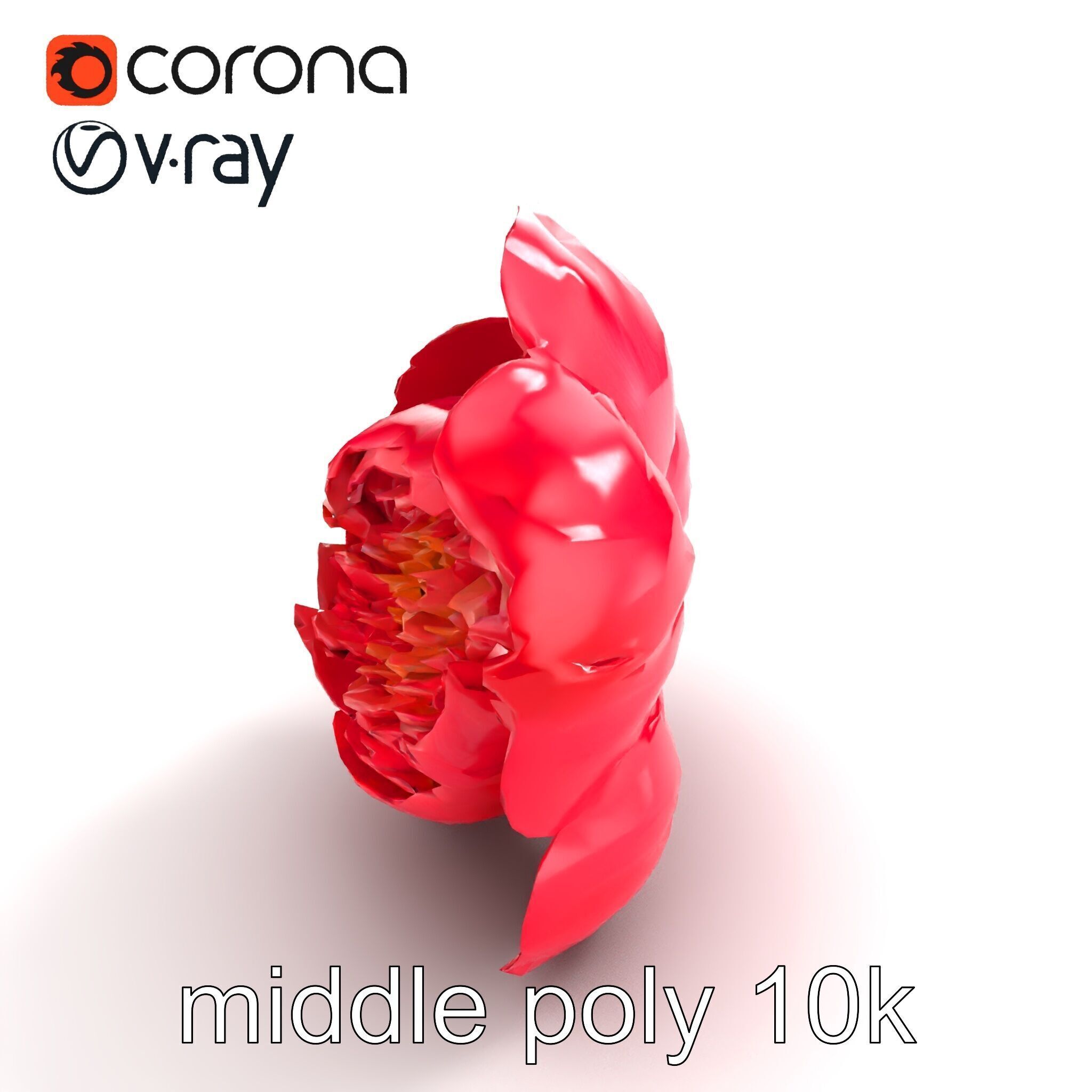 Red Peony Flower 3D Model Pack with Vivid Textures Low-poly 3D model_8