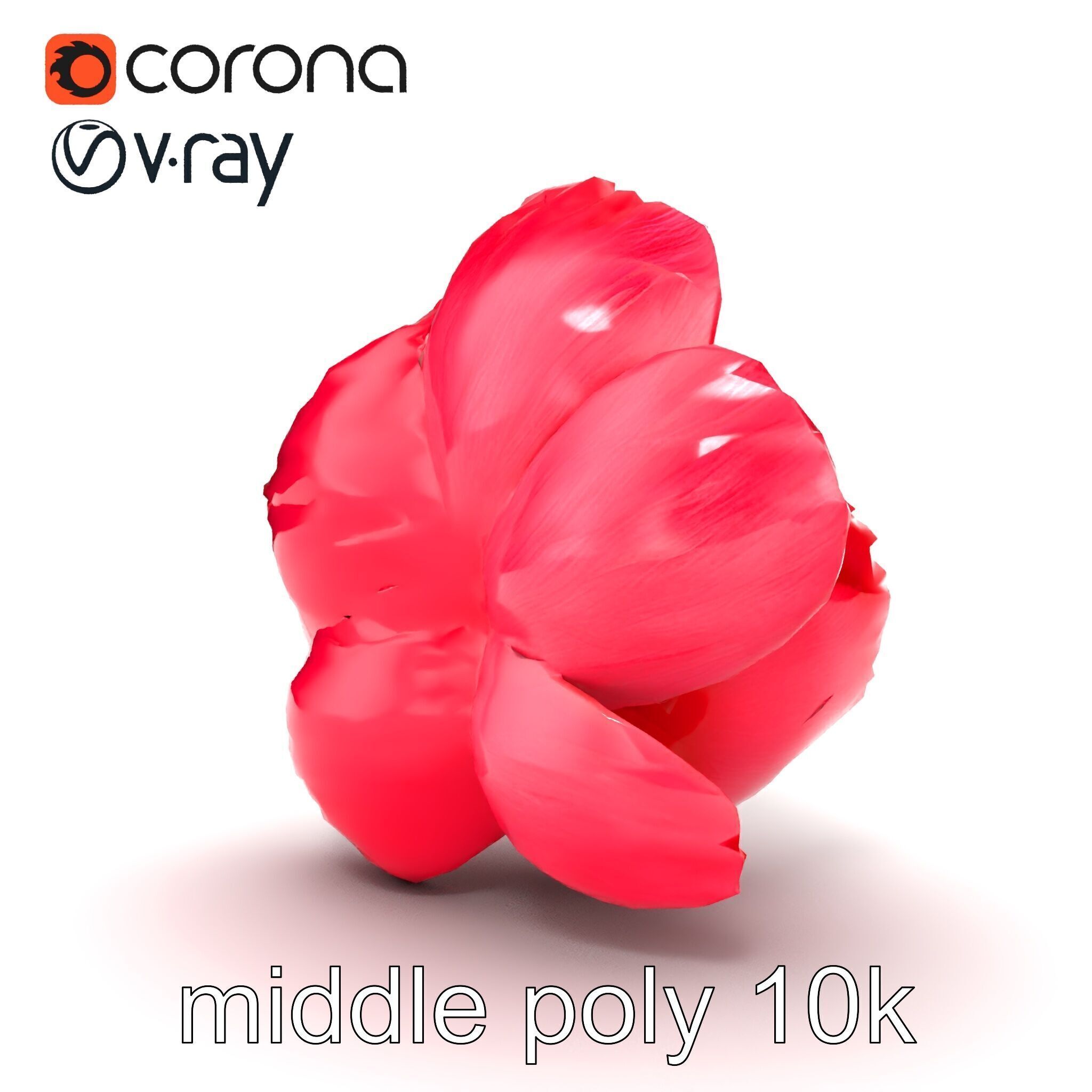 Red Peony Flower 3D Model Pack with Vivid Textures Low-poly 3D model_19