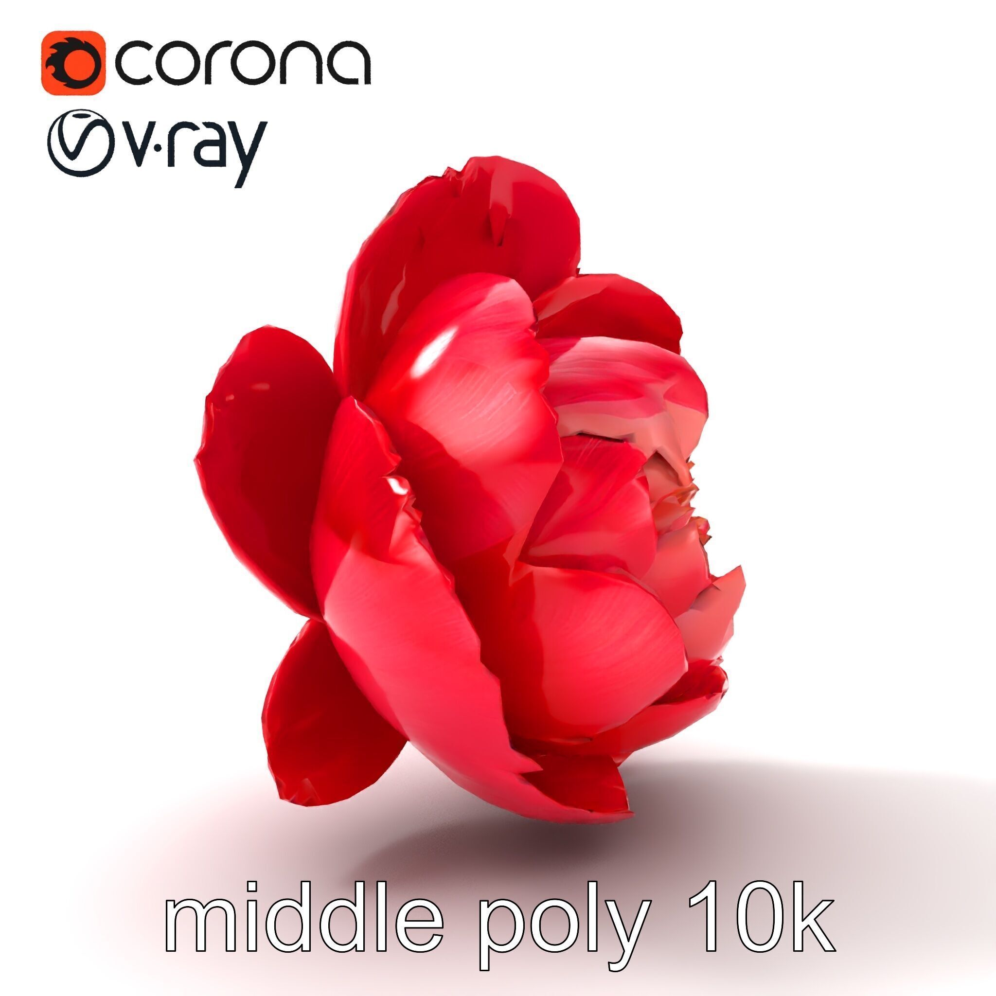 Red Peony Flower 3D Model Pack with Vivid Textures Low-poly 3D model_32