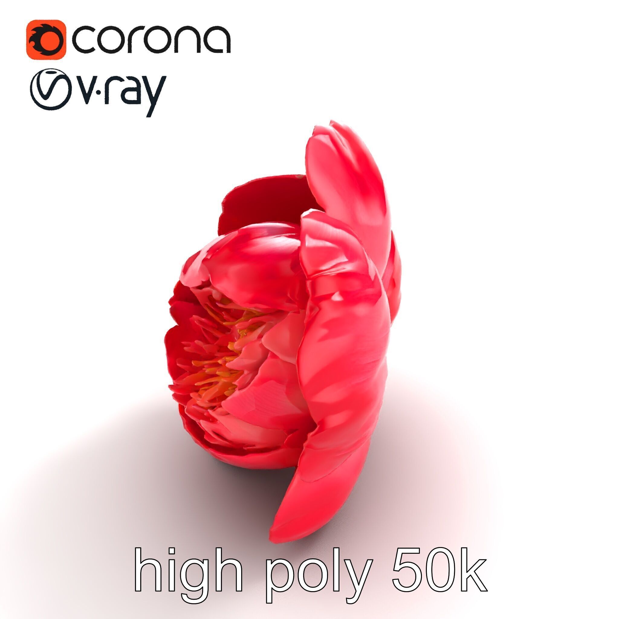 Red Peony Flower 3D Model Pack with Vivid Textures Low-poly 3D model_17