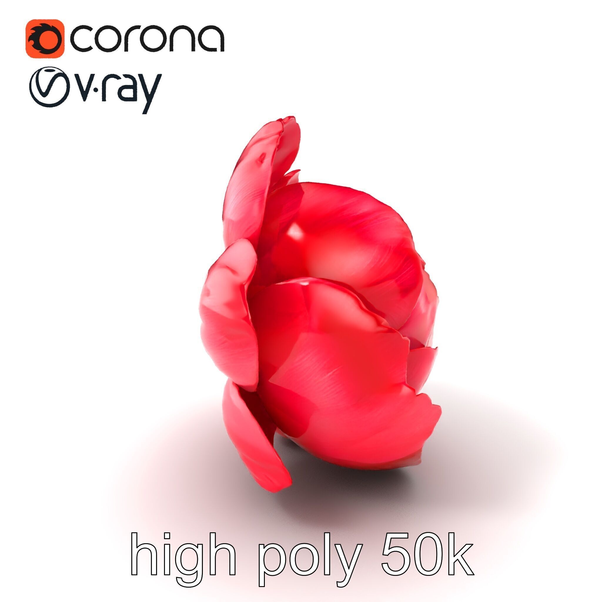 Red Peony Flower 3D Model Pack with Vivid Textures Low-poly 3D model_2