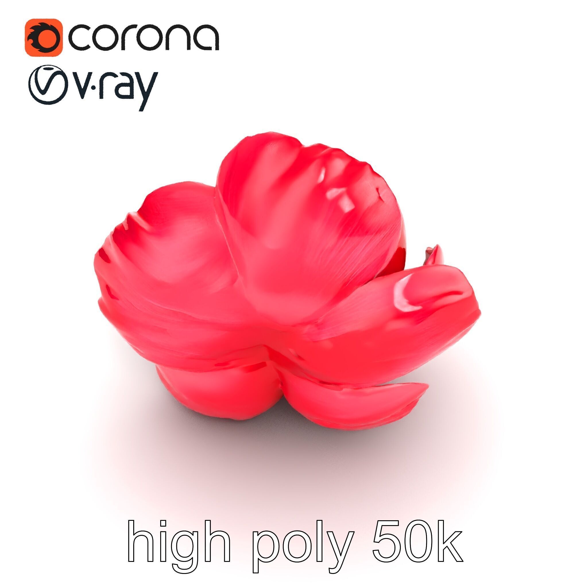 Red Peony Flower 3D Model Pack with Vivid Textures Low-poly 3D model_24