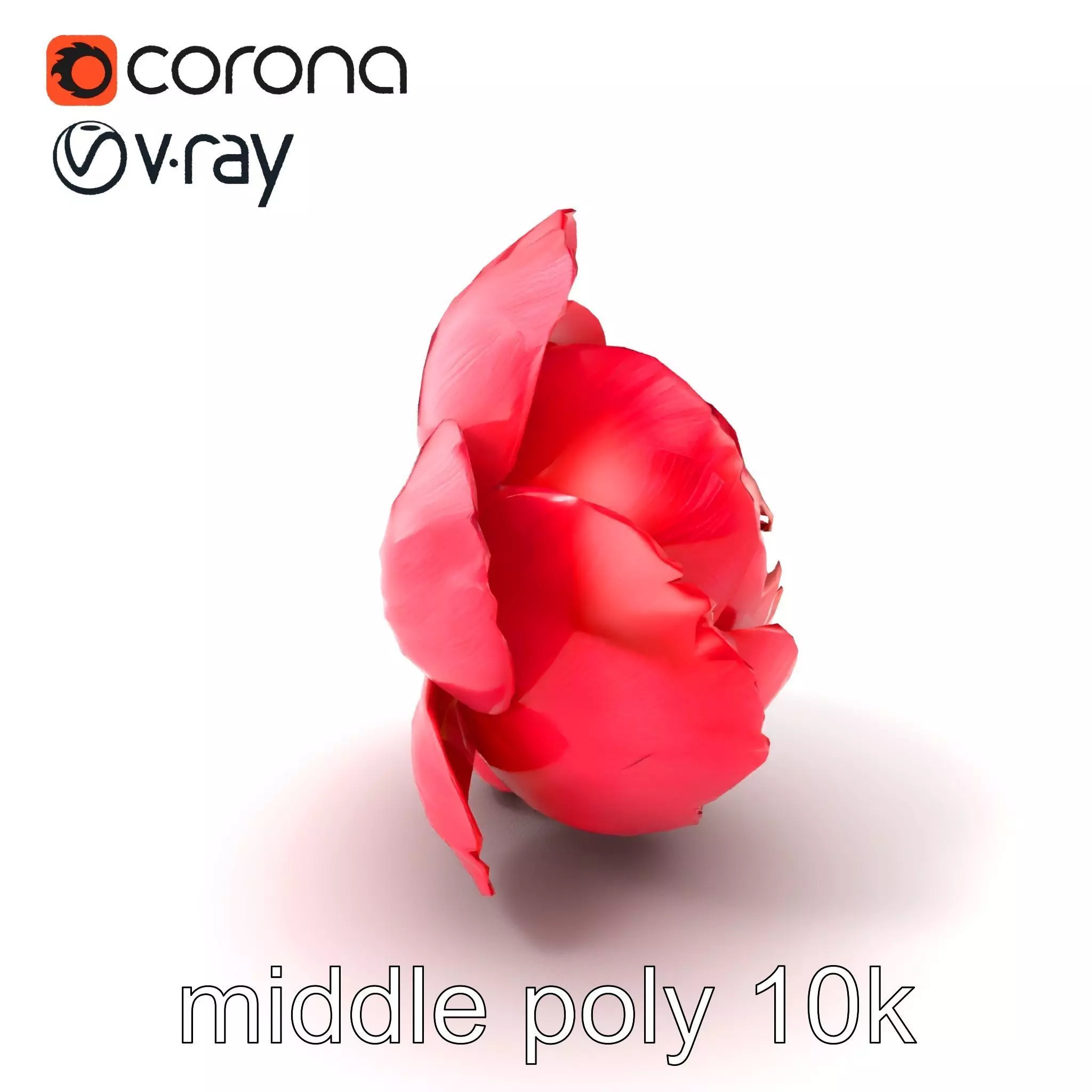 Red Peony Flower 3D Model Pack with Vivid Textures Low-poly 3D model_0