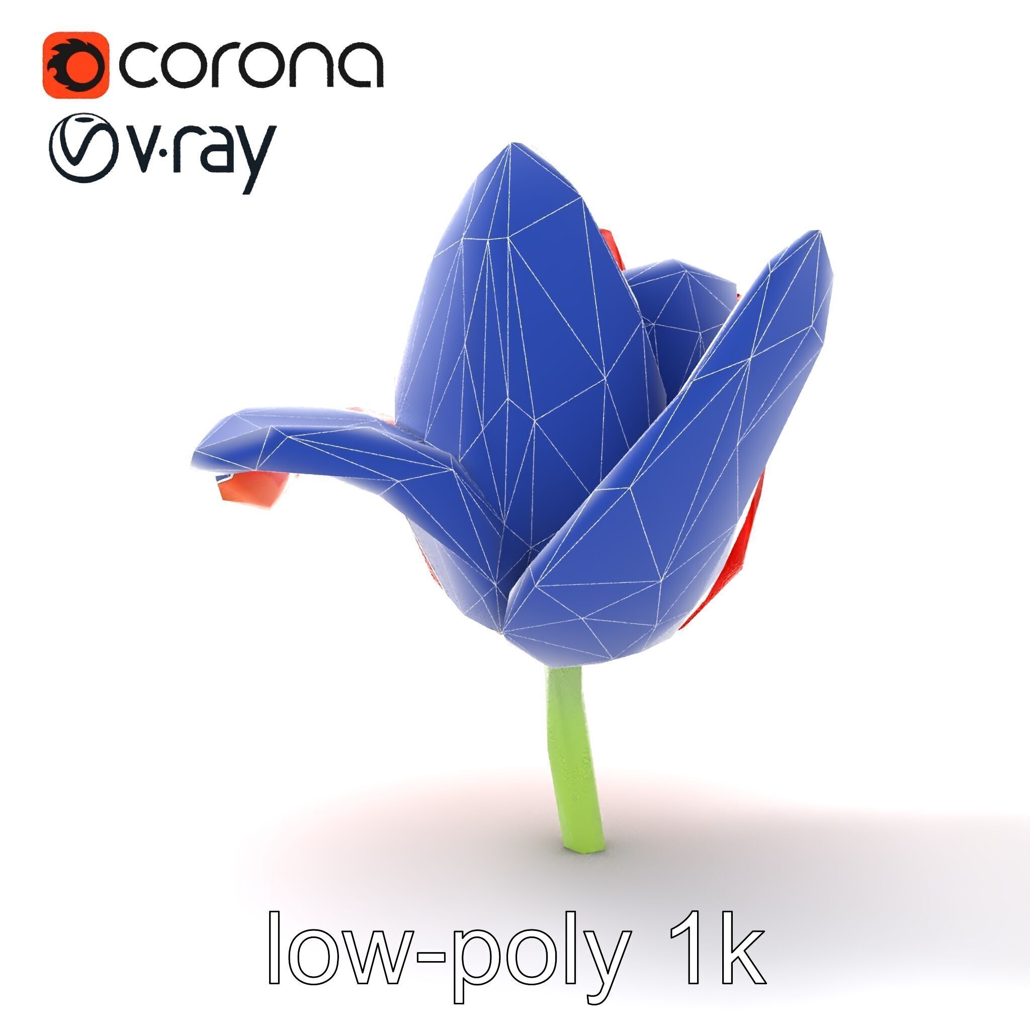 Red Tulip Realistic Flower Model Pack Low-poly 3D model_24
