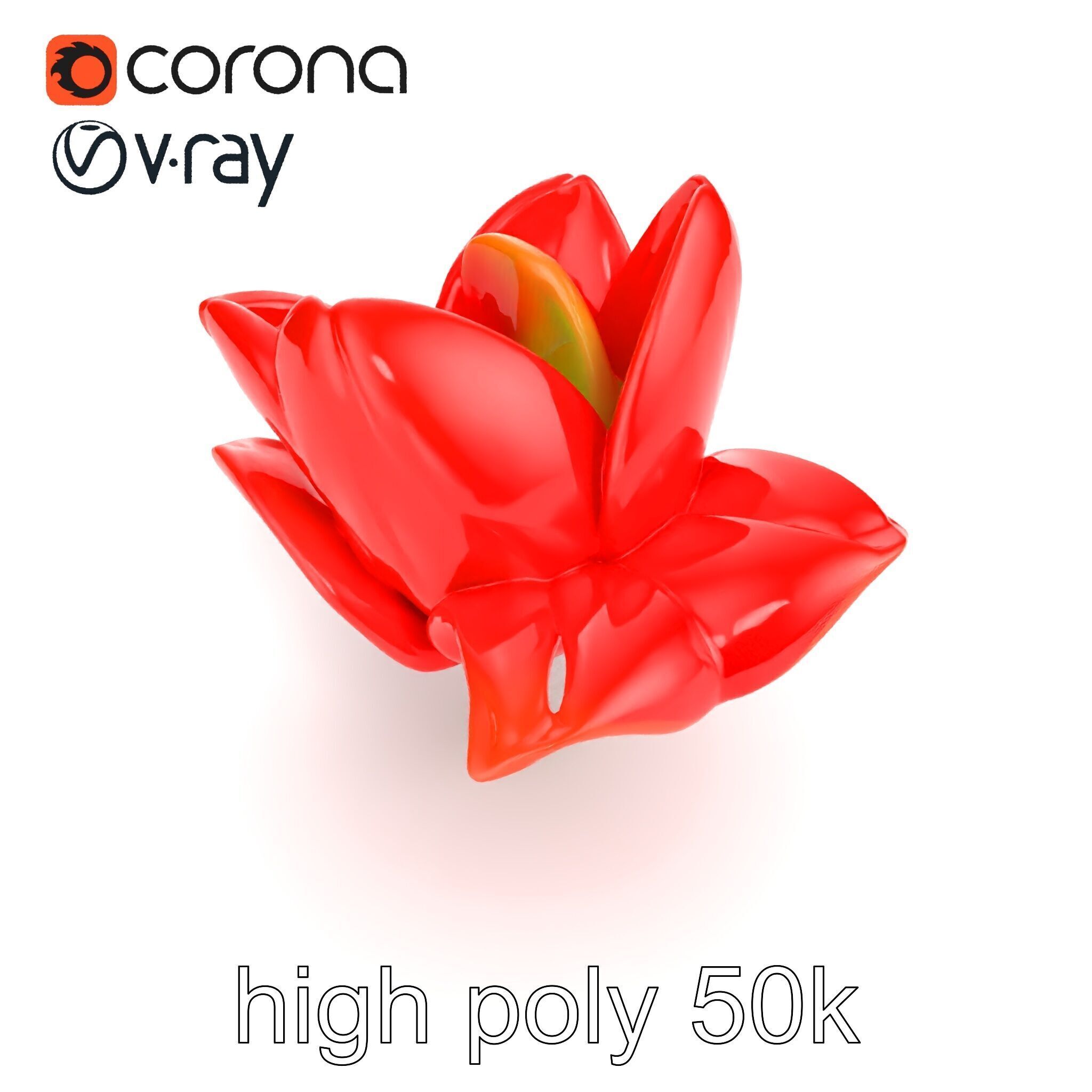 Red Tulip Realistic Flower Model Pack Low-poly 3D model_22