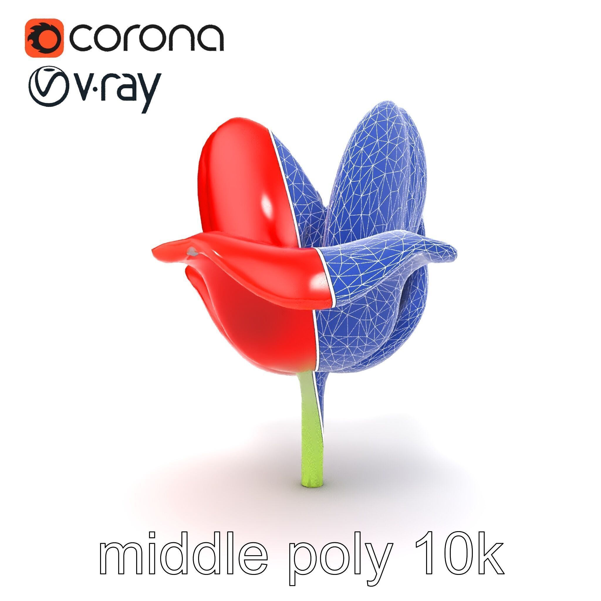 Red Tulip Realistic Flower Model Pack Low-poly 3D model_26