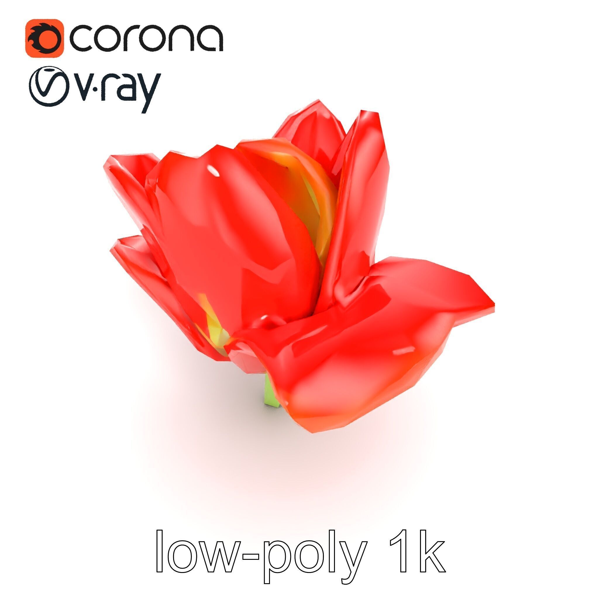 Red Tulip Realistic Flower Model Pack Low-poly 3D model_32