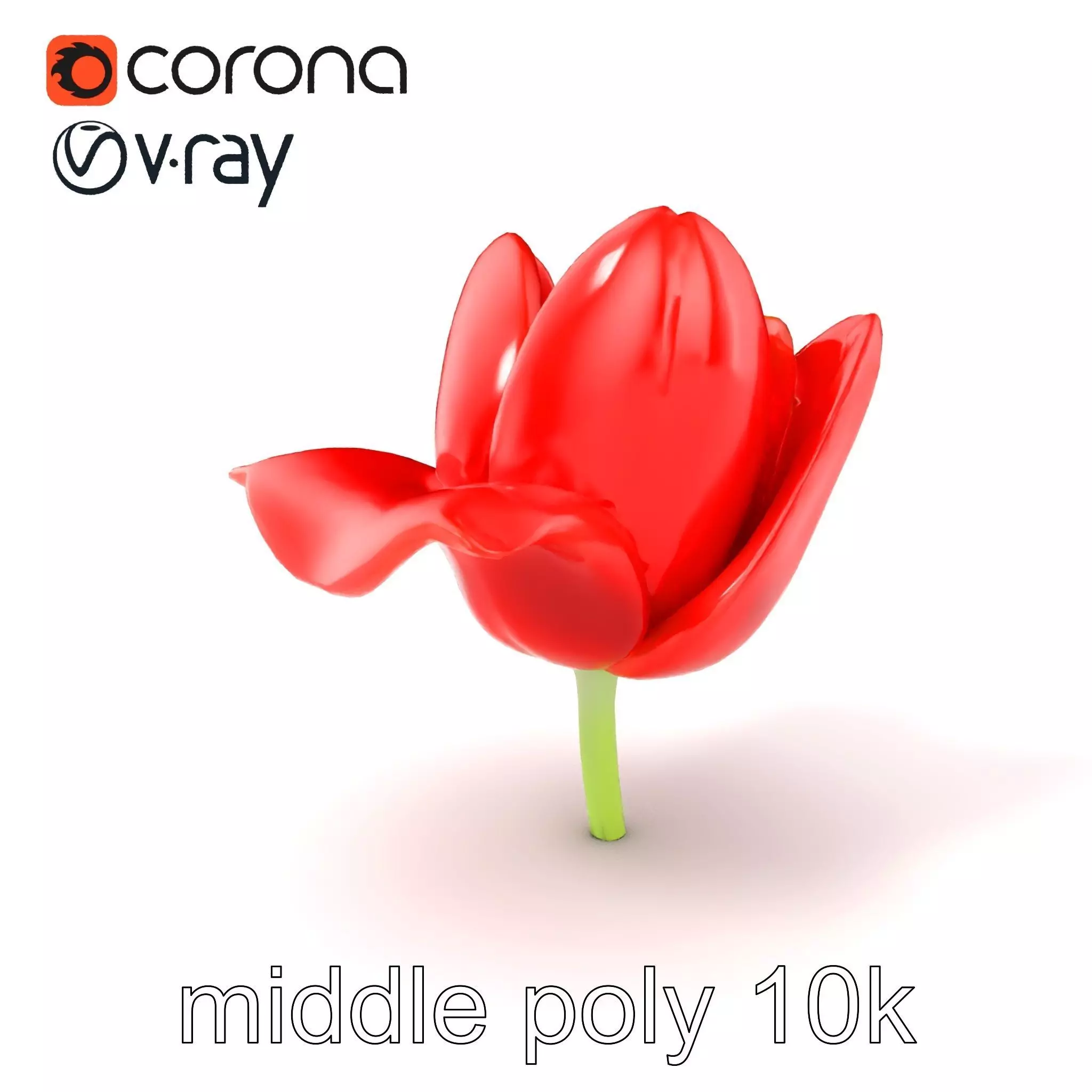 Red Tulip Realistic Flower Model Pack Low-poly 3D model_0