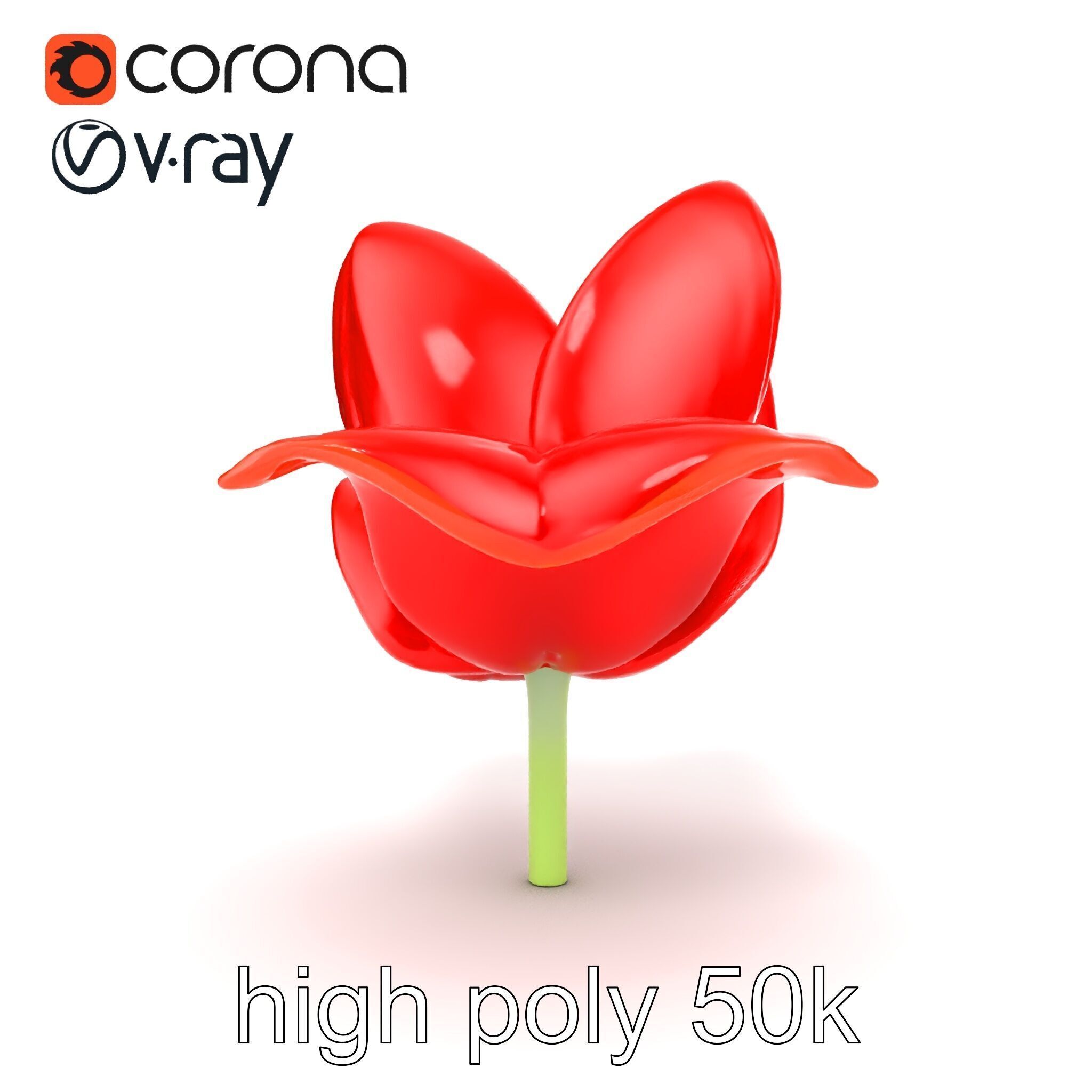Red Tulip Realistic Flower Model Pack Low-poly 3D model_19
