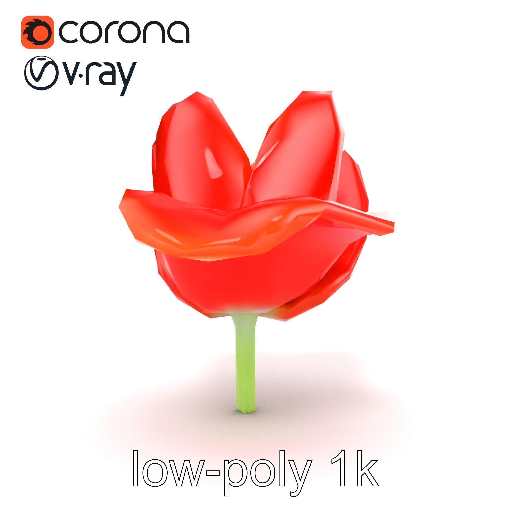 Red Tulip Realistic Flower Model Pack Low-poly 3D model_14