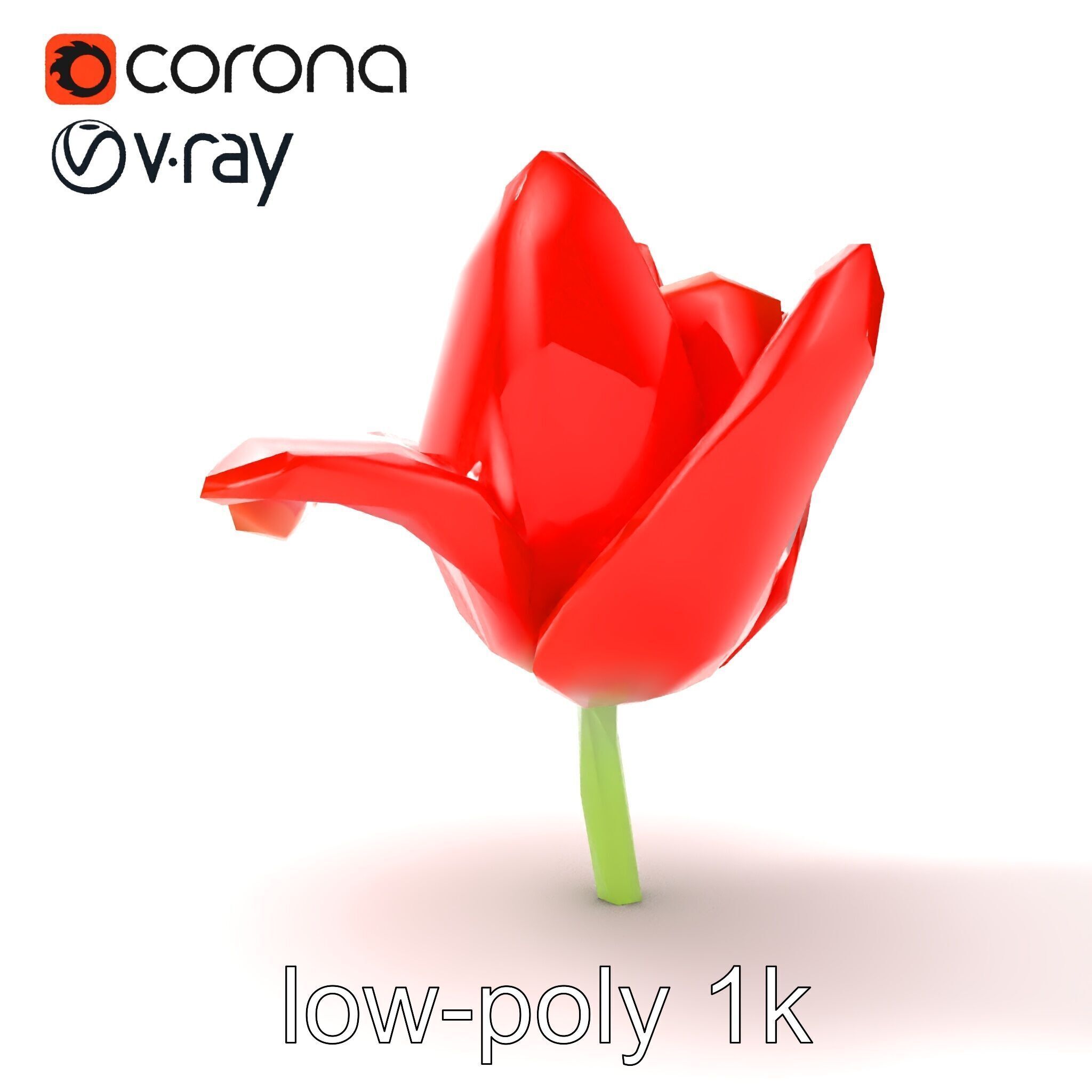 Red Tulip Realistic Flower Model Pack Low-poly 3D model_15