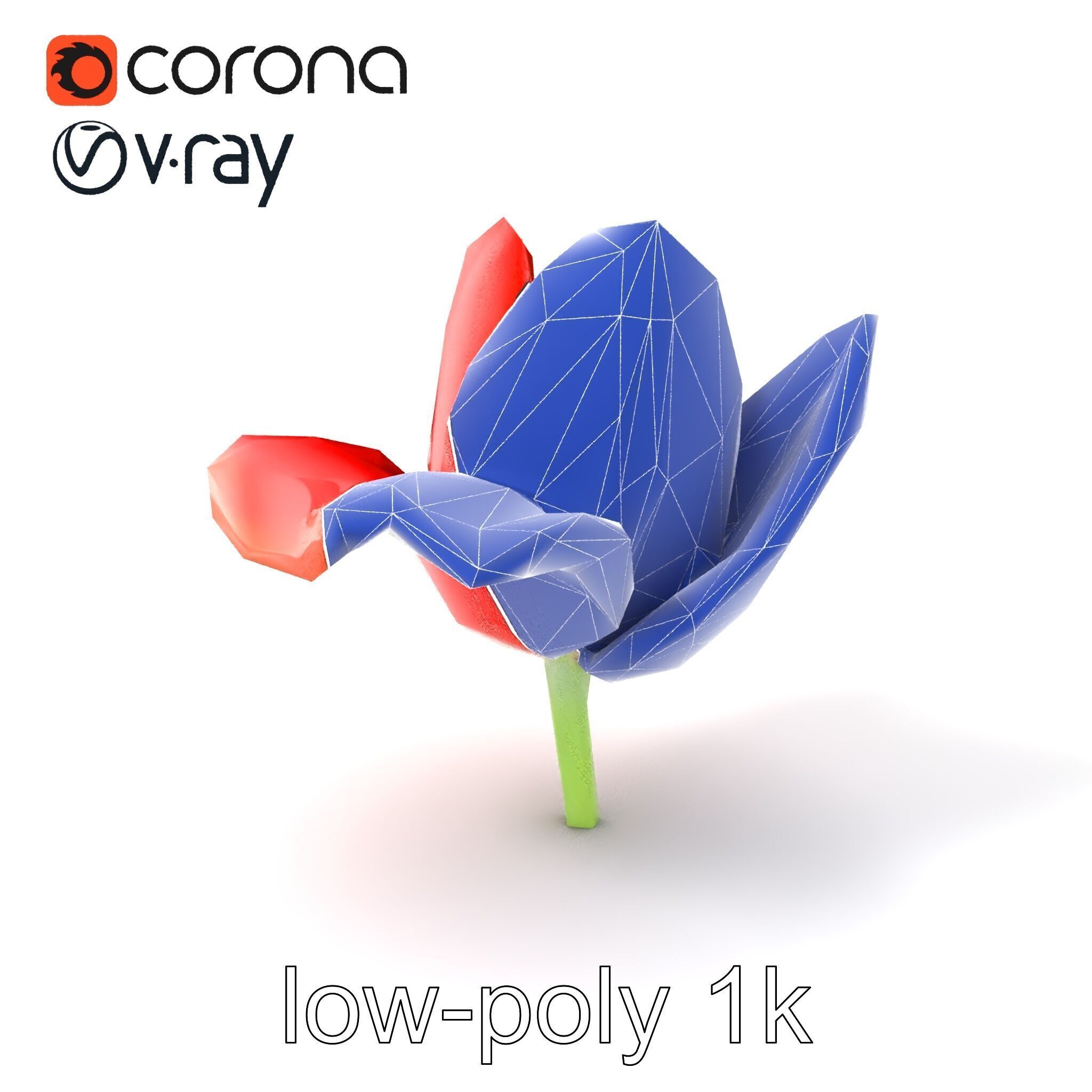 Red Tulip Realistic Flower Model Pack Low-poly 3D model_7