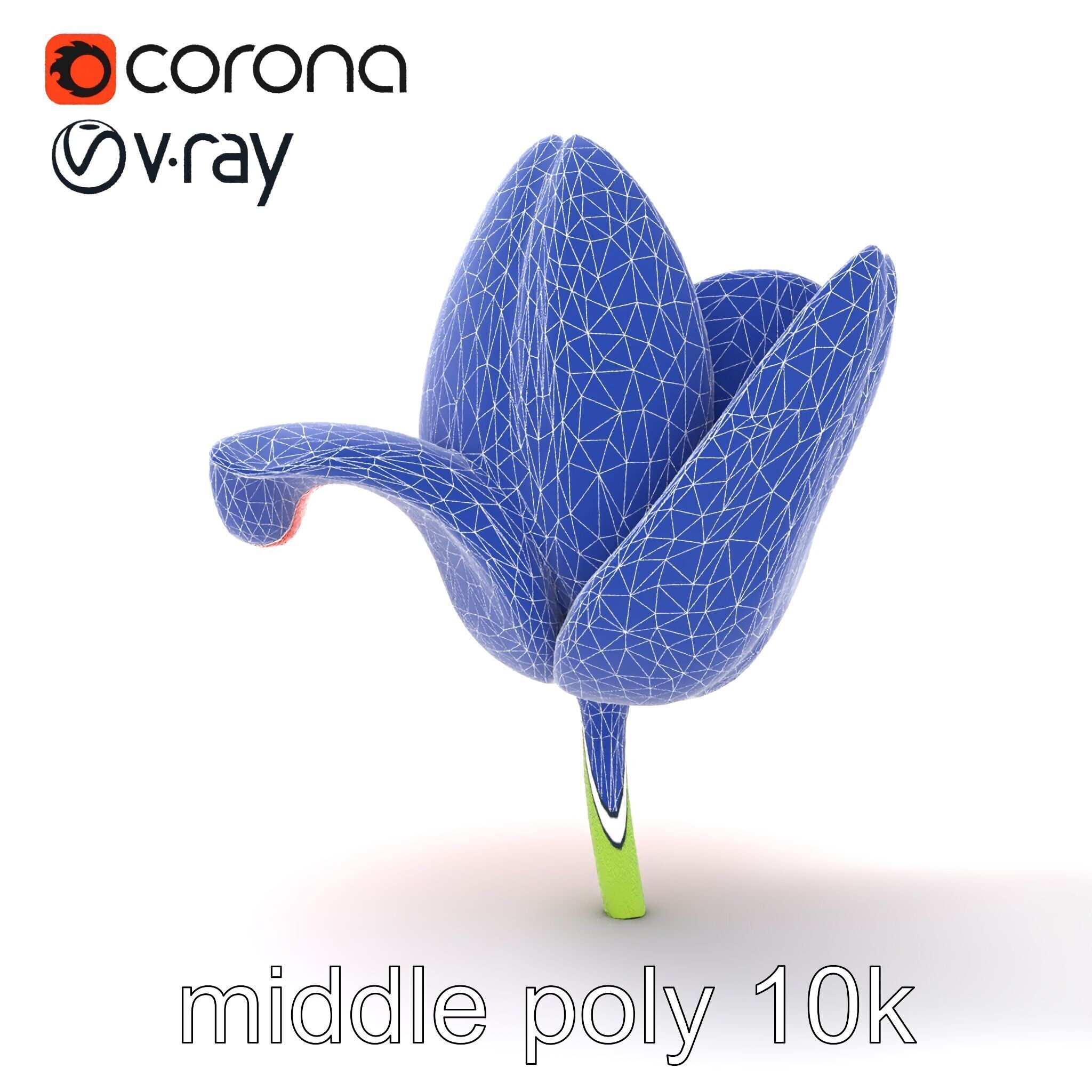 Red Tulip Realistic Flower Model Pack Low-poly 3D model_16