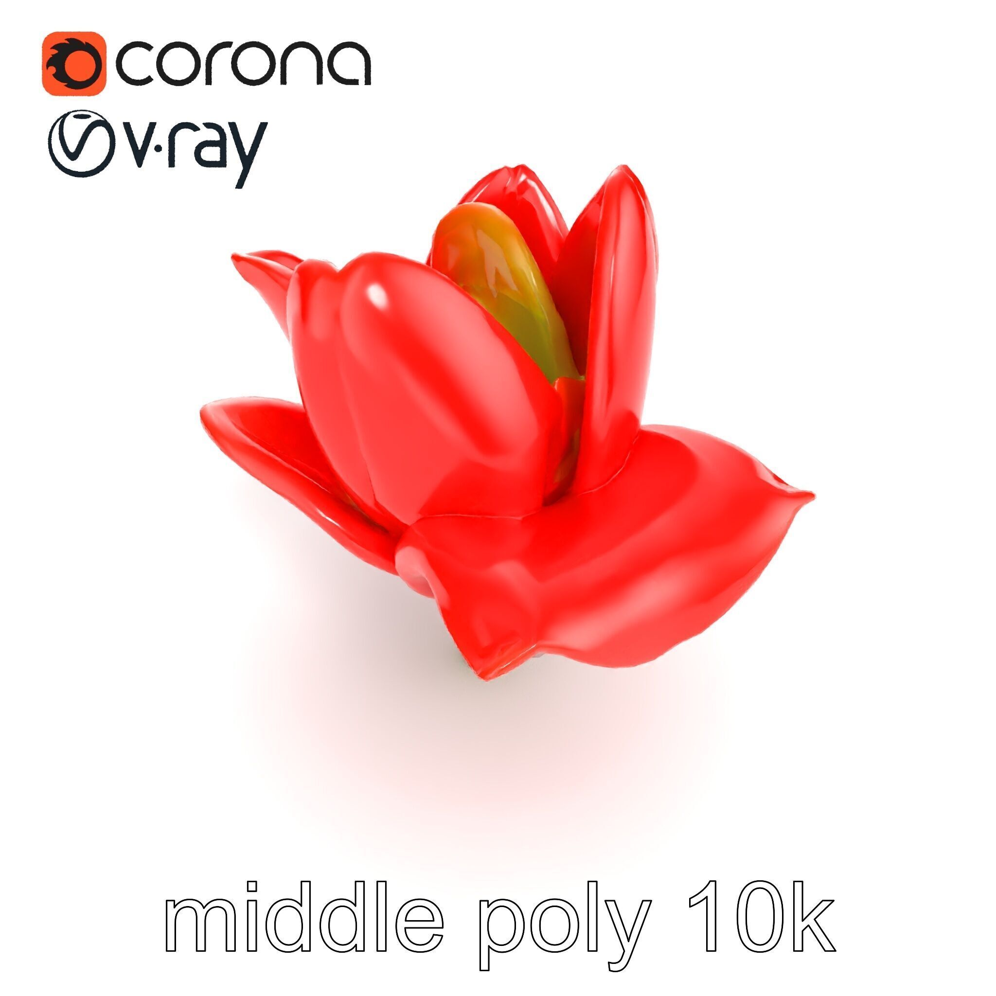 Red Tulip Realistic Flower Model Pack Low-poly 3D model_12
