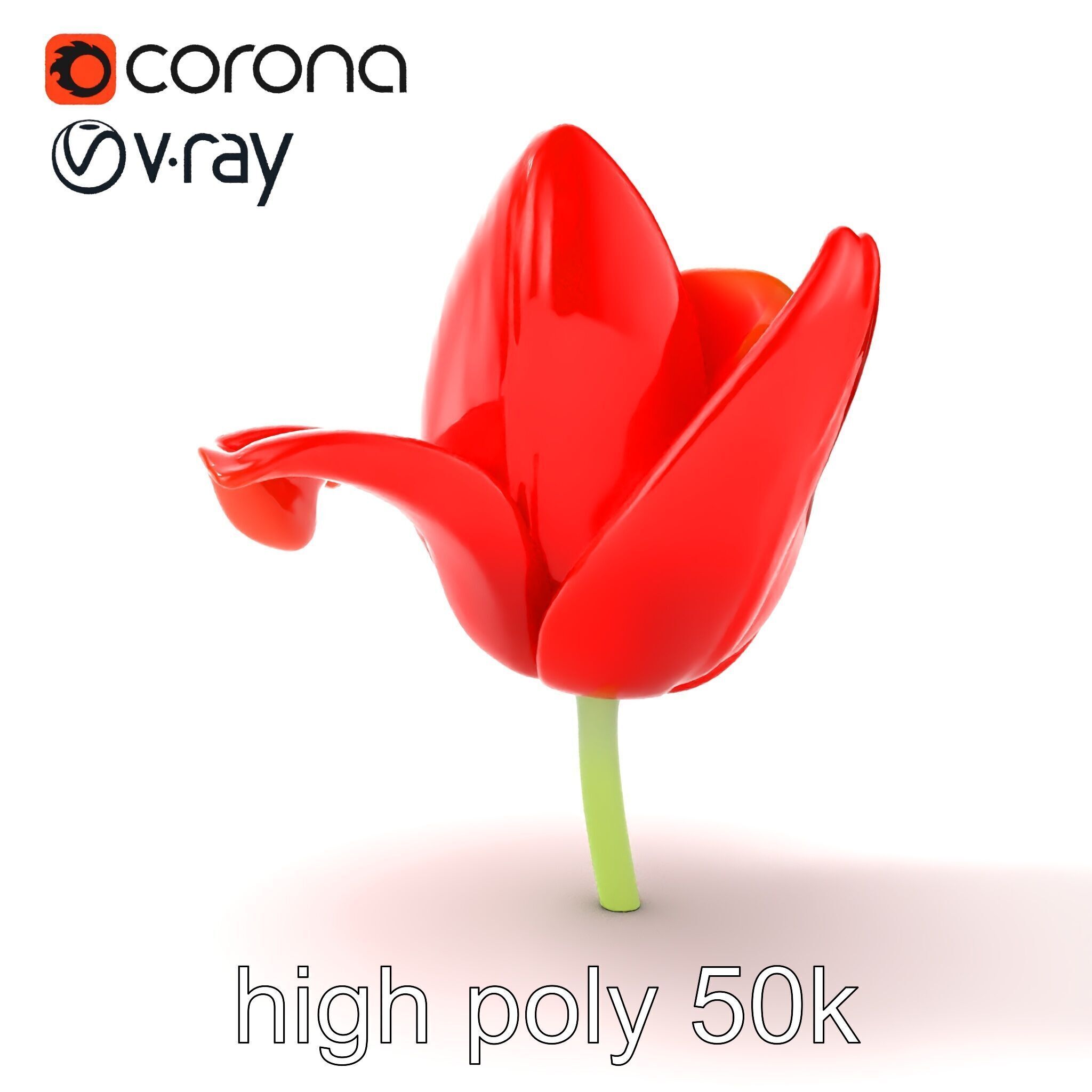 Red Tulip Realistic Flower Model Pack Low-poly 3D model_27