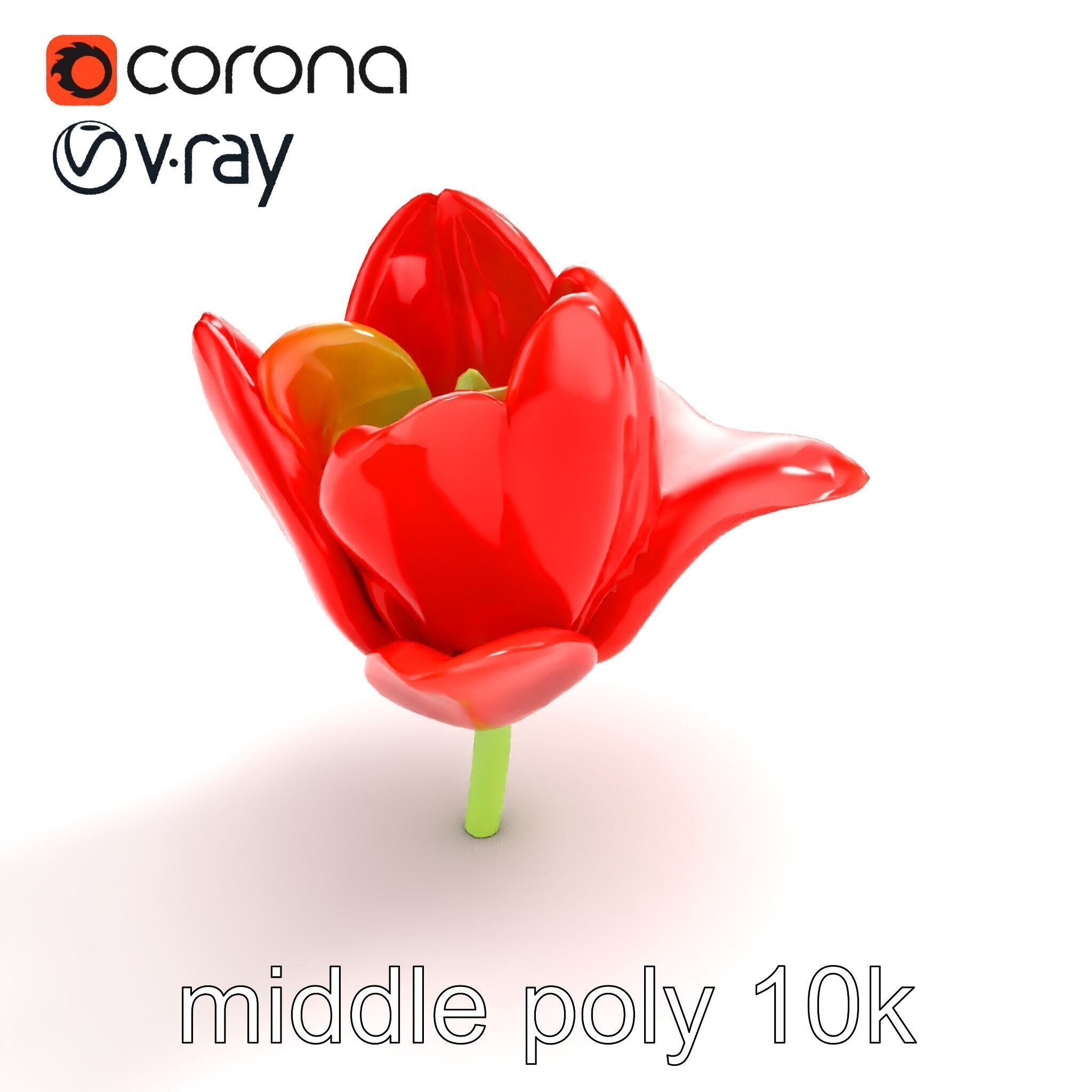 Red Tulip Realistic Flower Model Pack Low-poly 3D model_8