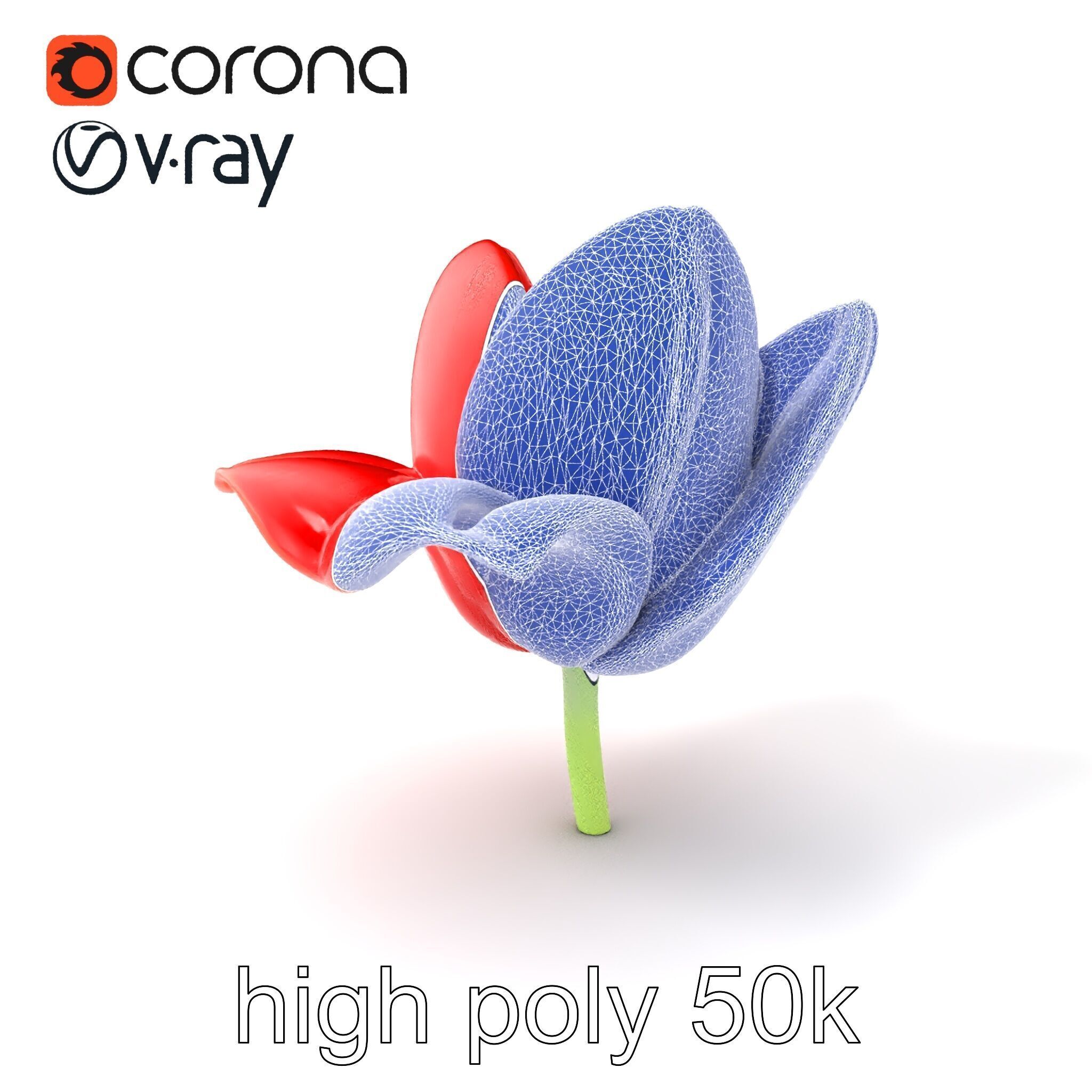 Red Tulip Realistic Flower Model Pack Low-poly 3D model_10