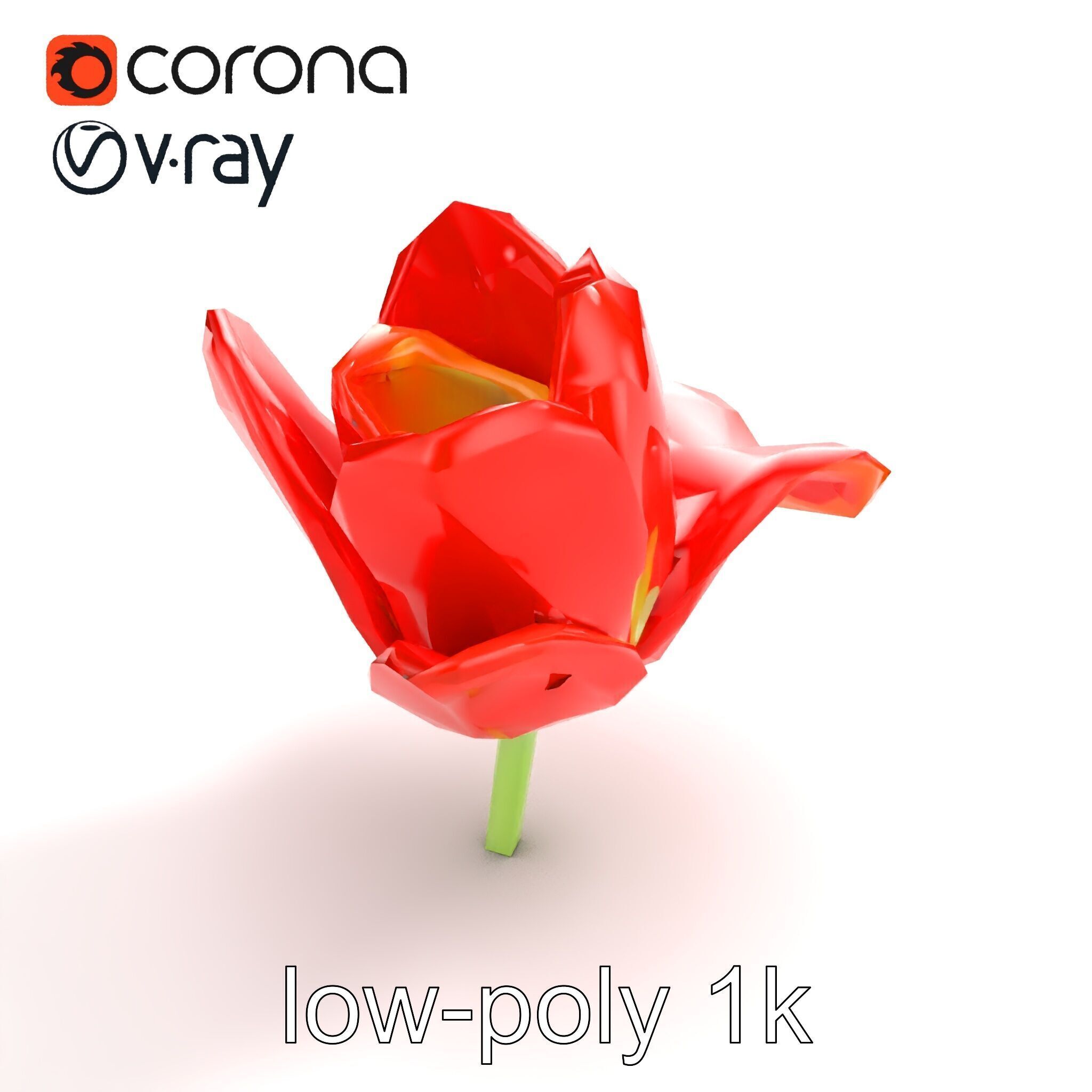 Red Tulip Realistic Flower Model Pack Low-poly 3D model_9