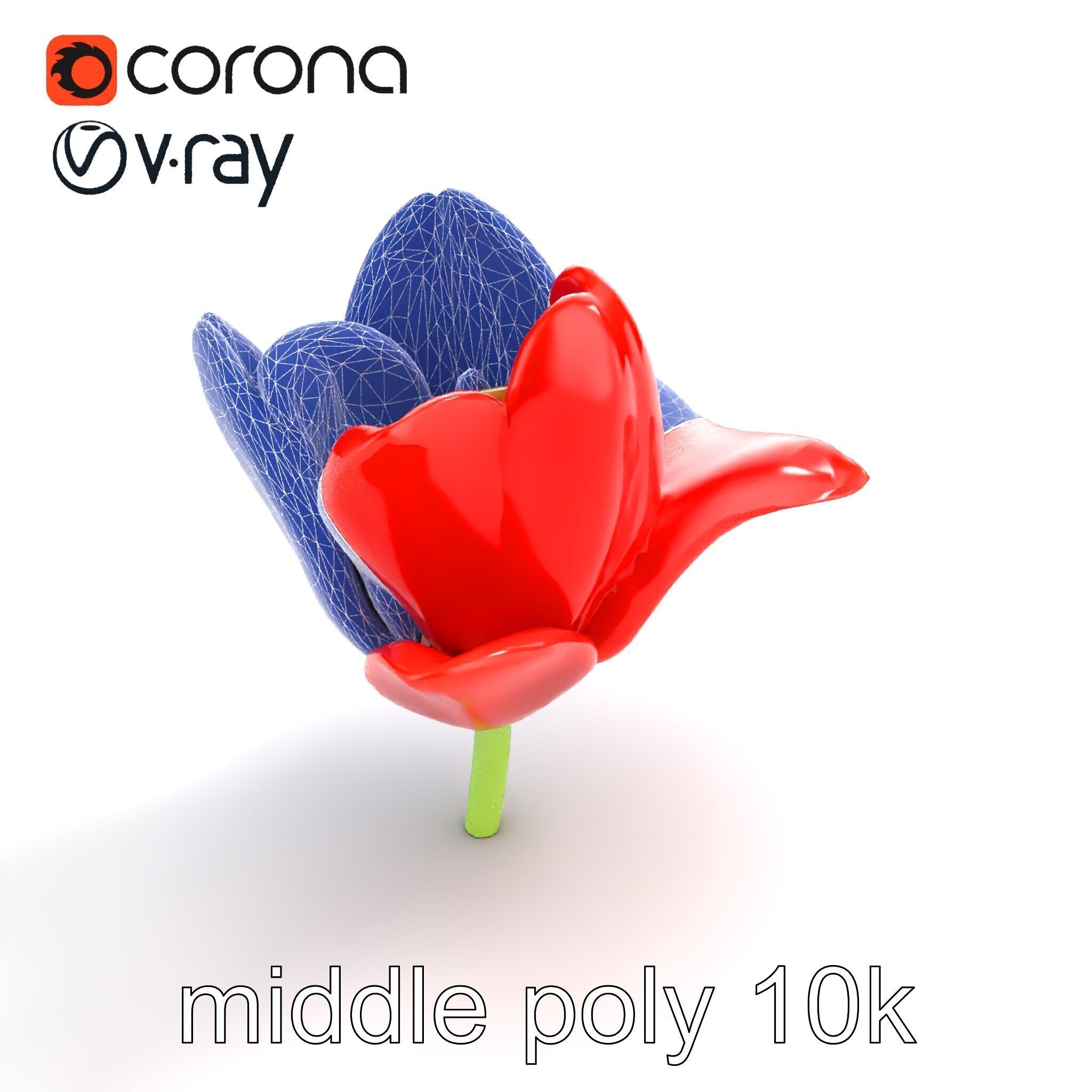 Red Tulip Realistic Flower Model Pack Low-poly 3D model_11