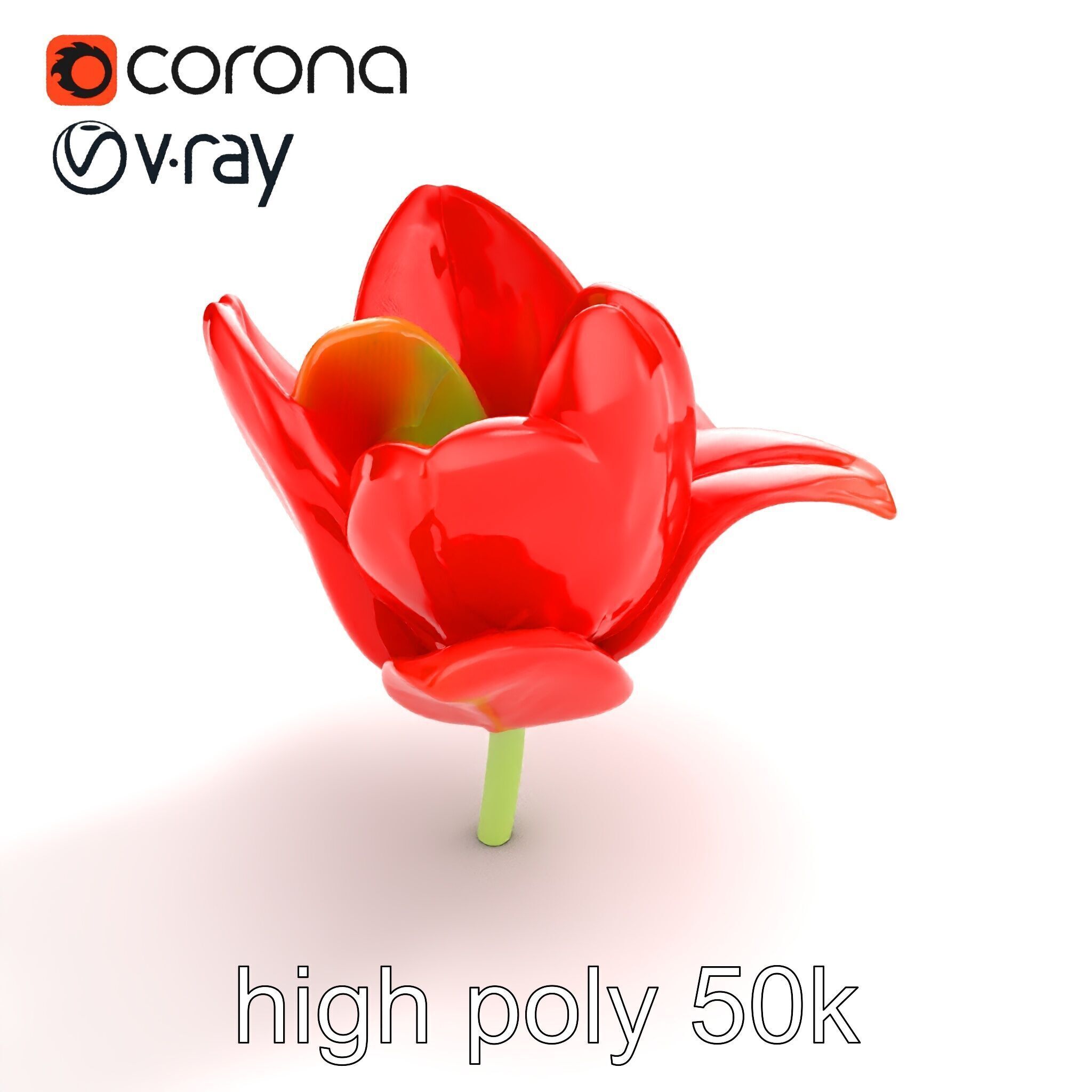 Red Tulip Realistic Flower Model Pack Low-poly 3D model_20