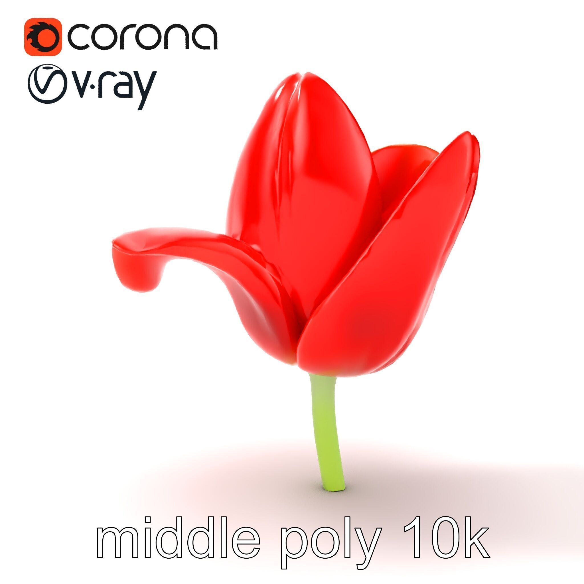 Red Tulip Realistic Flower Model Pack Low-poly 3D model_13