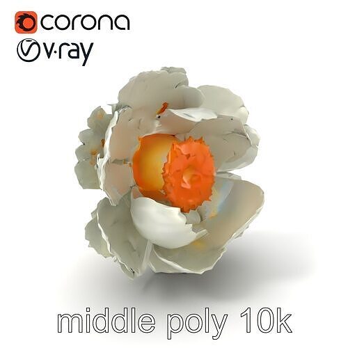 White Peony Flower Elegant Realistic 3D Model Pack Low-poly 3D model