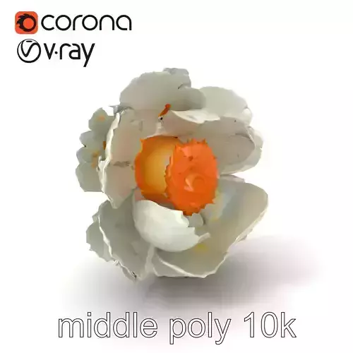 White Peony Flower Elegant Realistic 3D Model Pack