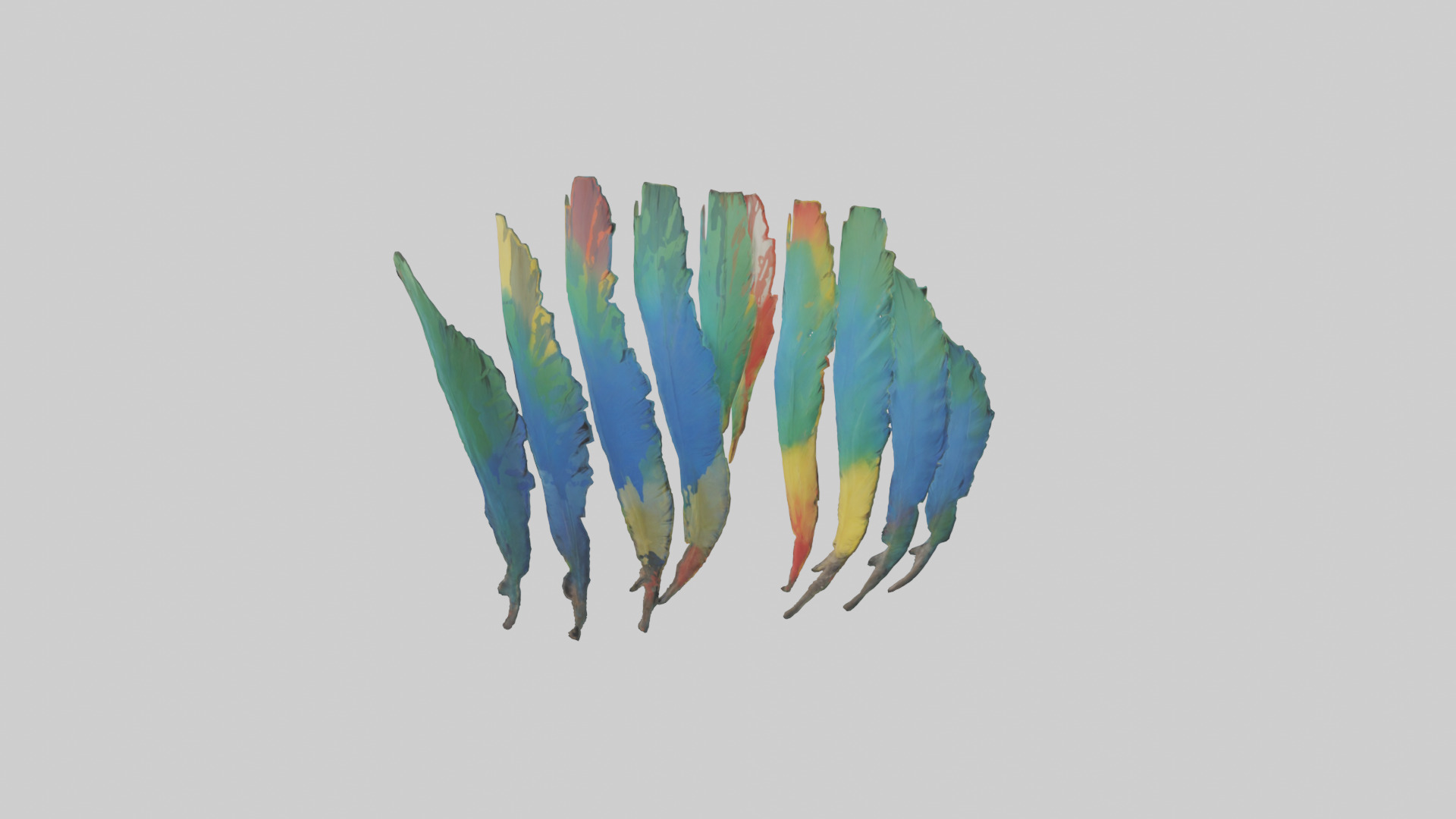 Parrot Tail Feathers Model Low-poly 3D model_1