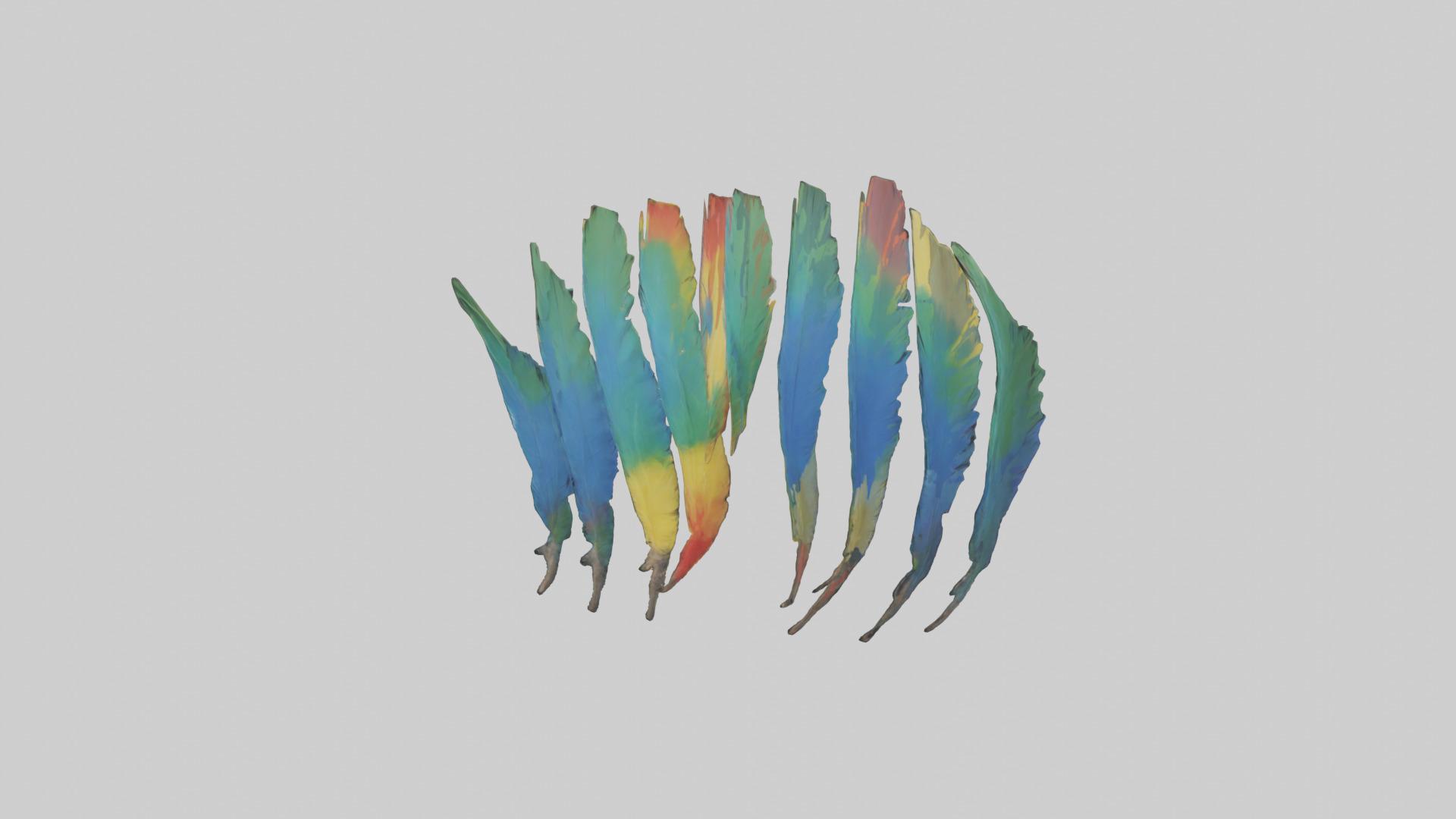 Parrot Tail Feathers Model Low-poly 3D model_8