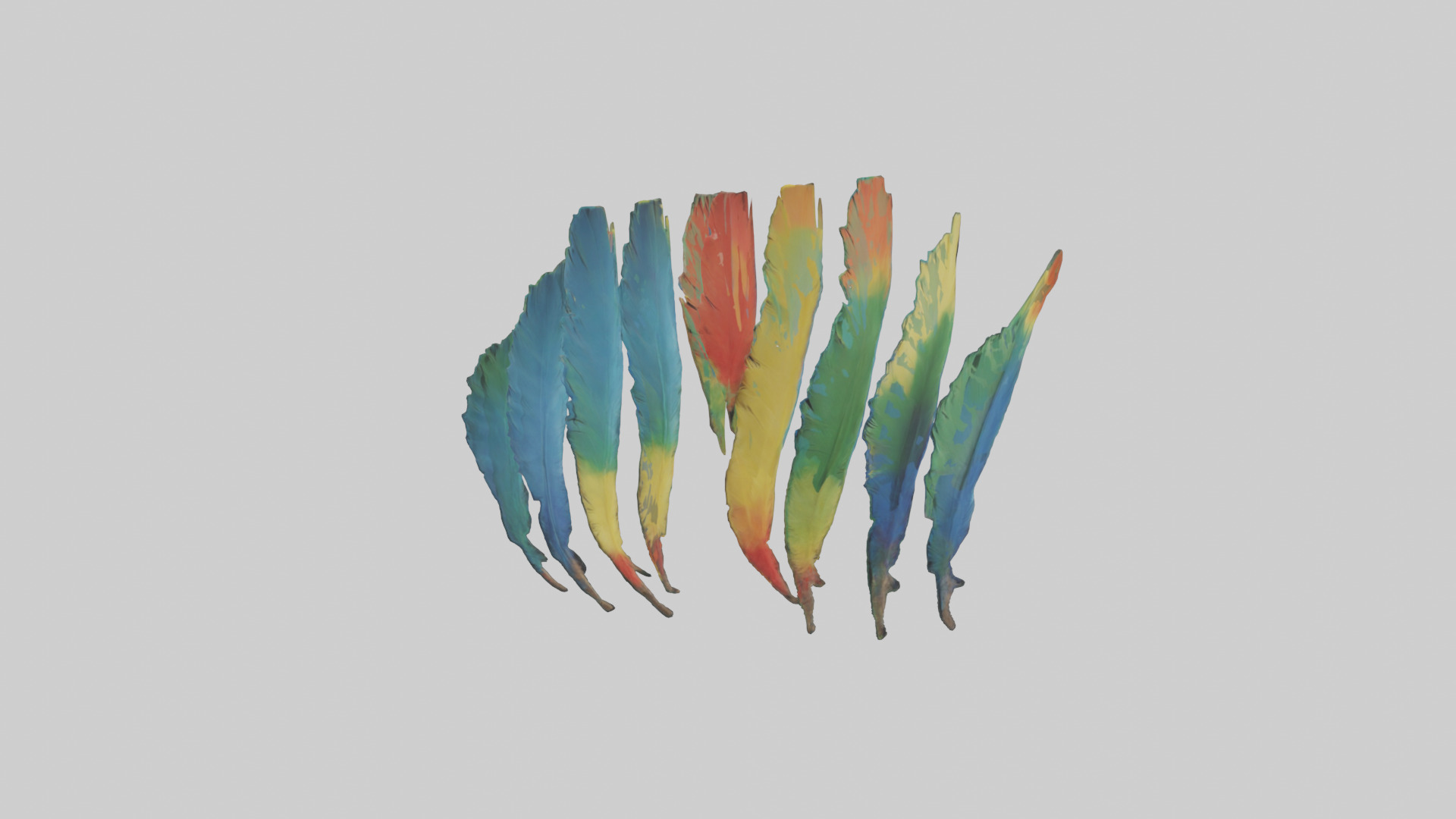 Parrot Tail Feathers Model Low-poly 3D model_2