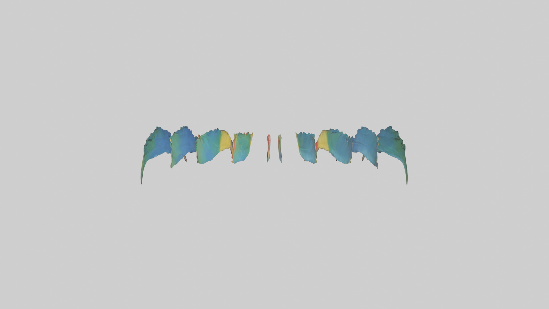 Parrot Tail Feathers Model Low-poly 3D model_14