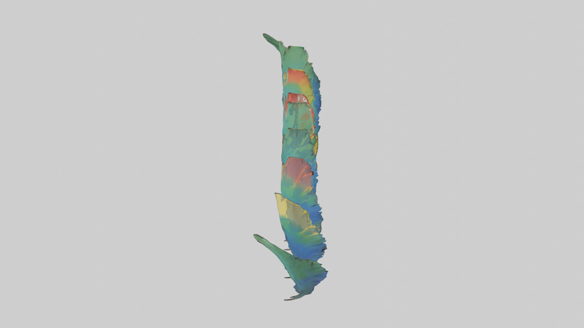 Parrot Tail Feathers Model Low-poly 3D model_17