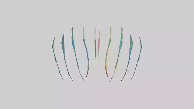 Parrot Tail Feathers Model Low-poly 3D model