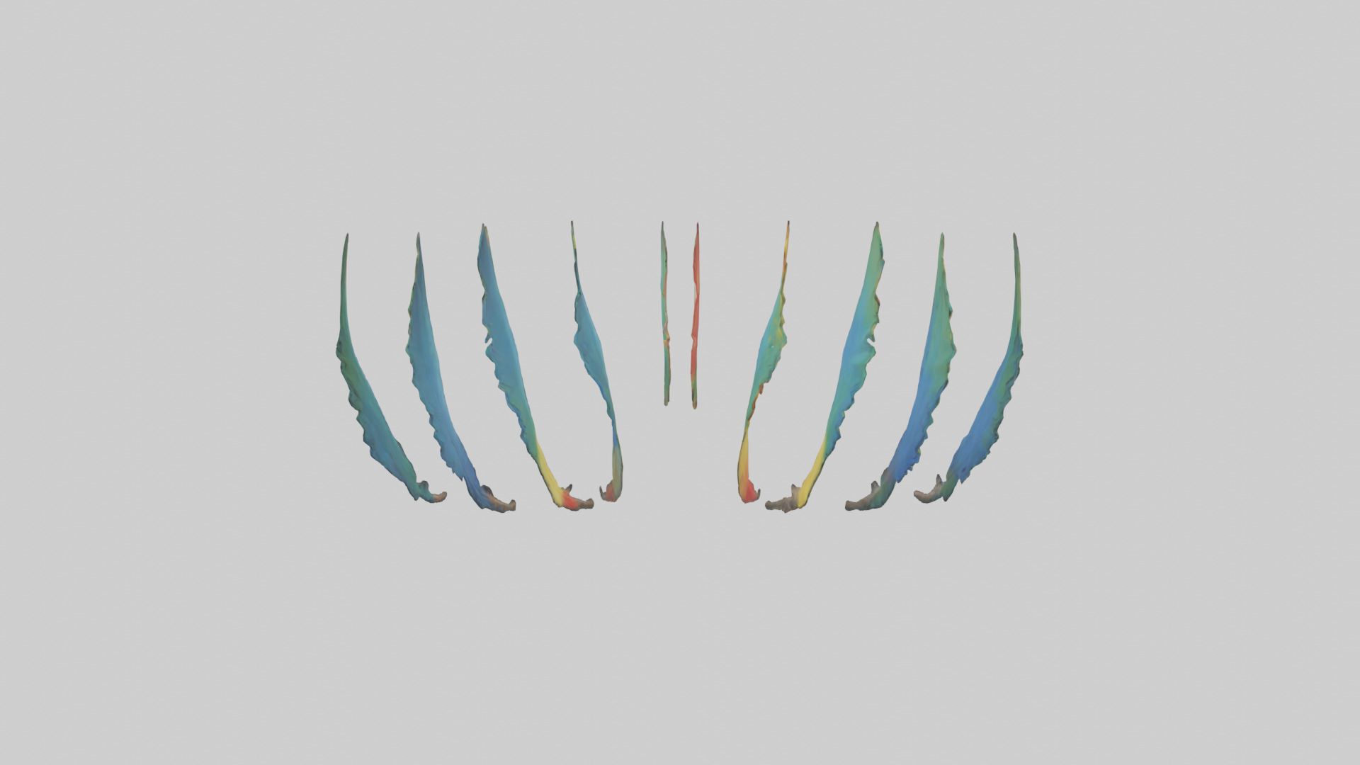 Parrot Tail Feathers Model Low-poly 3D model_15