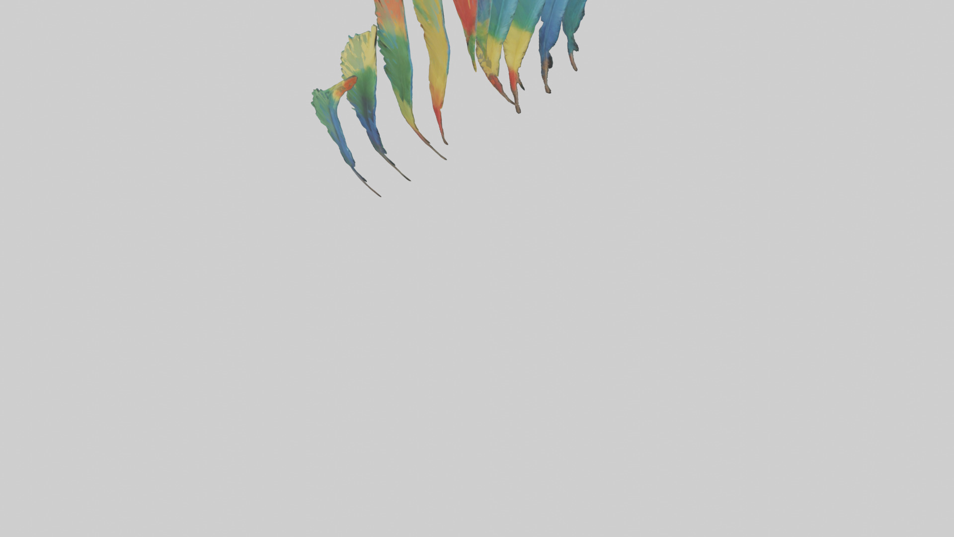 Parrot Tail Feathers Model Low-poly 3D model_6