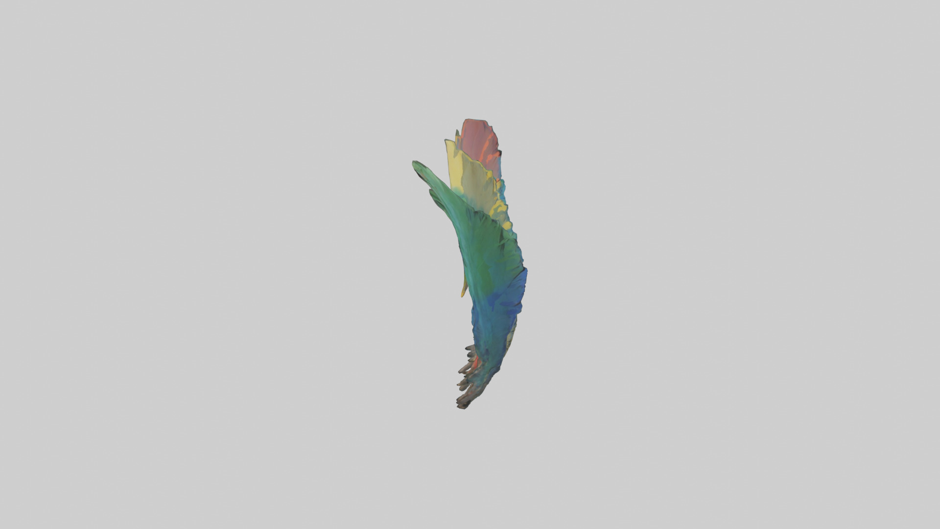 Parrot Tail Feathers Model Low-poly 3D model_12