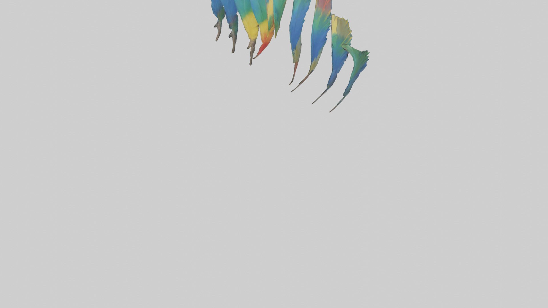 Parrot Tail Feathers Model Low-poly 3D model_5