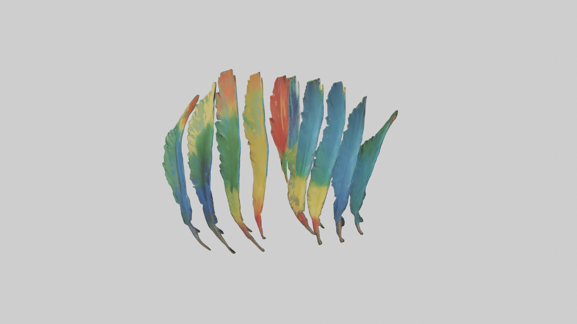 Parrot Tail Feathers Model Low-poly 3D model_7