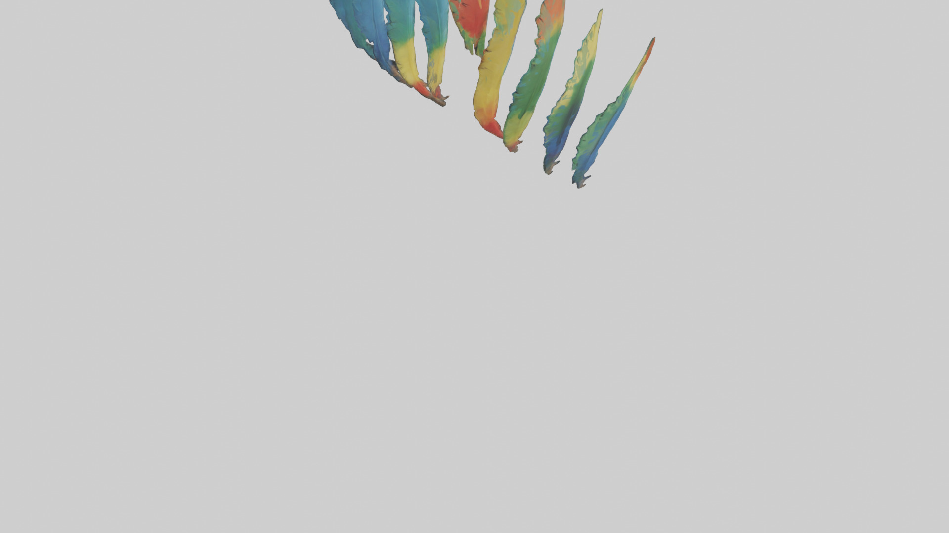 Parrot Tail Feathers Model Low-poly 3D model_4