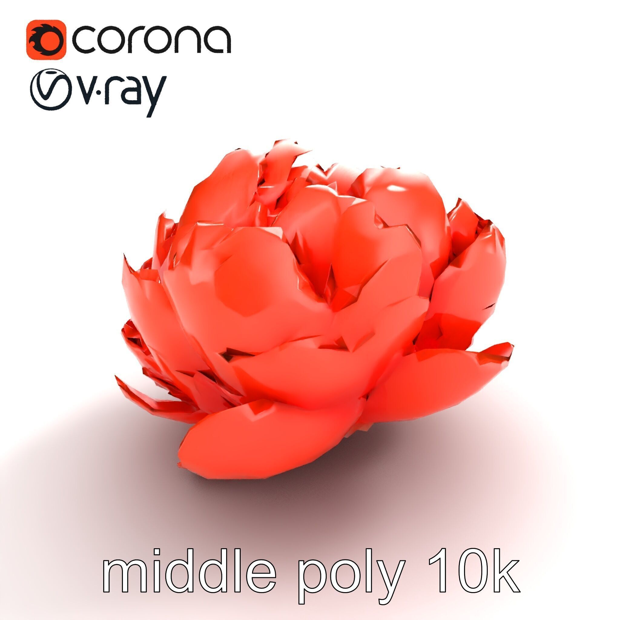 Coral Peony Soft Petals model pack Low-poly 3D model_7
