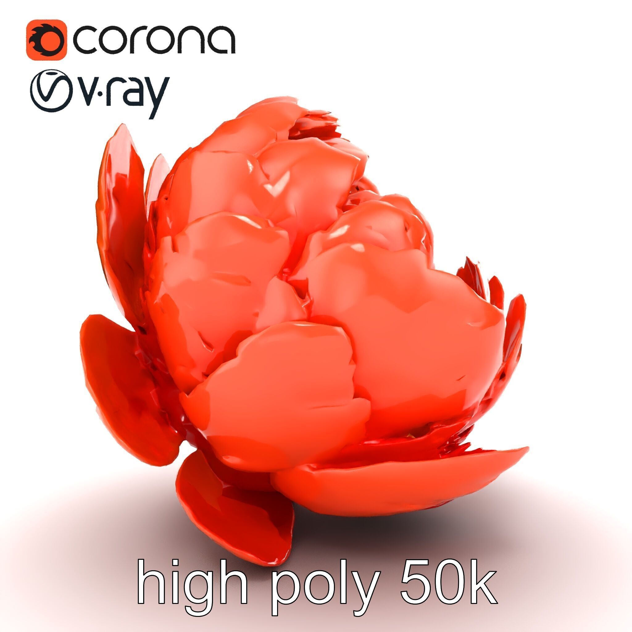 Coral Peony Soft Petals model pack Low-poly 3D model_21