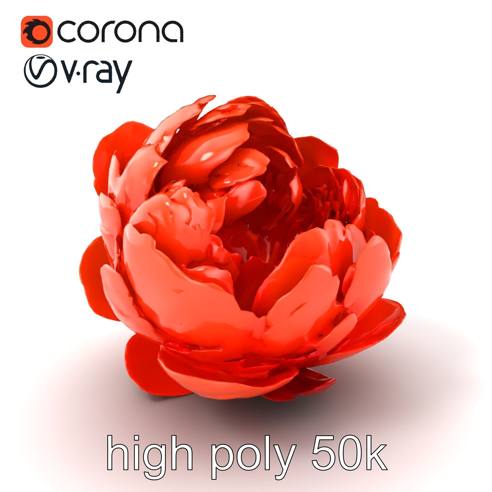Coral Peony Soft Petals model pack Low-poly 3D model_2